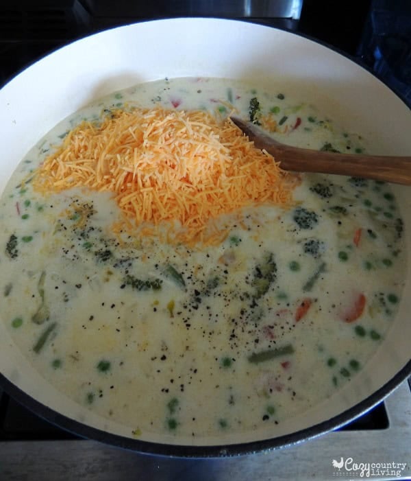 Grated sharp cheddar cheese added to the chicken vegetable soup.