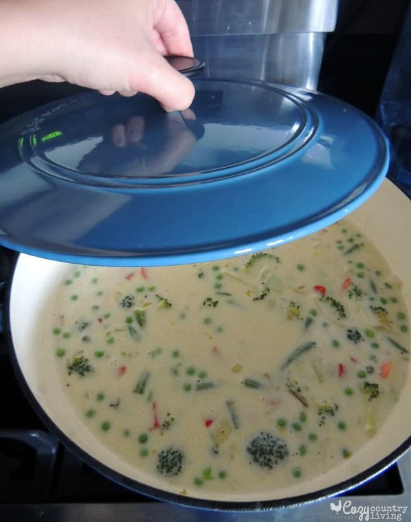 A lid placed on the pot to simmer the cheesy chicken vegetable soup.
