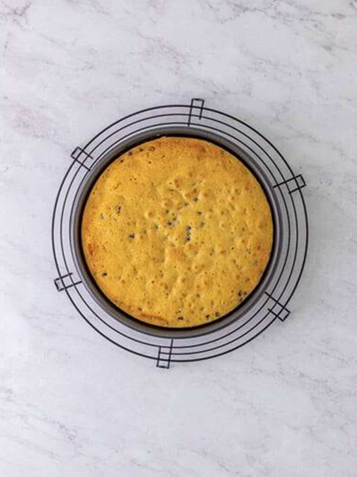 A baked chocolate chip cake layer cooling on a wire rack.