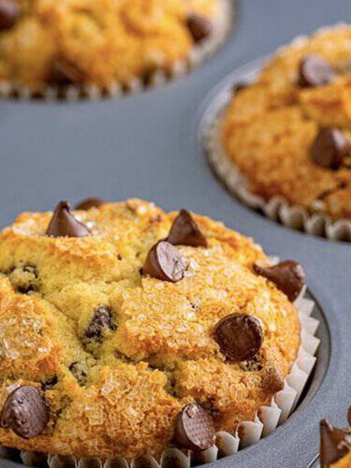 A golden baked chocolate chip muffin with a domed top in a muffin tin.