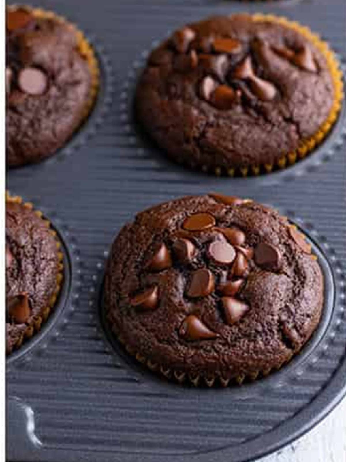 Baked double chocolate muffins cooling in the muffin tin.