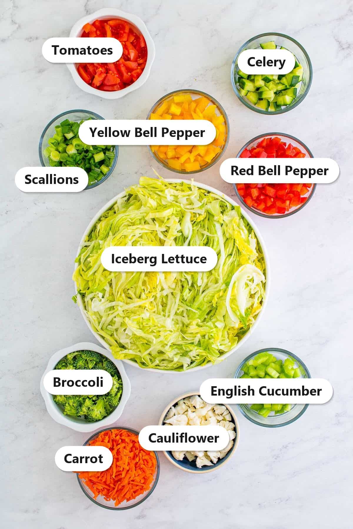 Labeled ingredients for chopped salad including iceberg lettuce, bell peppers, tomatoes, cucumber, broccoli, cauliflower, celery, scallions, and carrot.