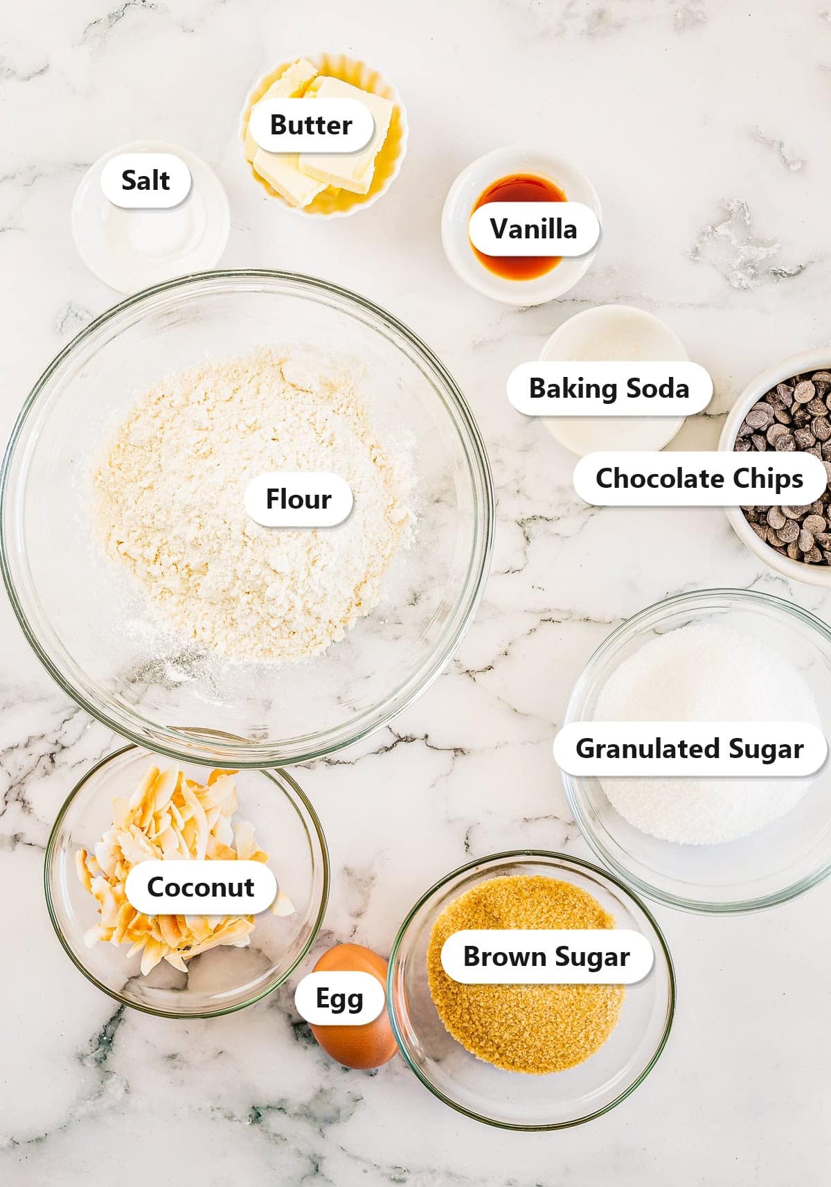 Labeled ingredients for coconut chocolate chip cookies including butter, flour, sugars, egg, vanilla, chocolate chips, and toasted coconut.