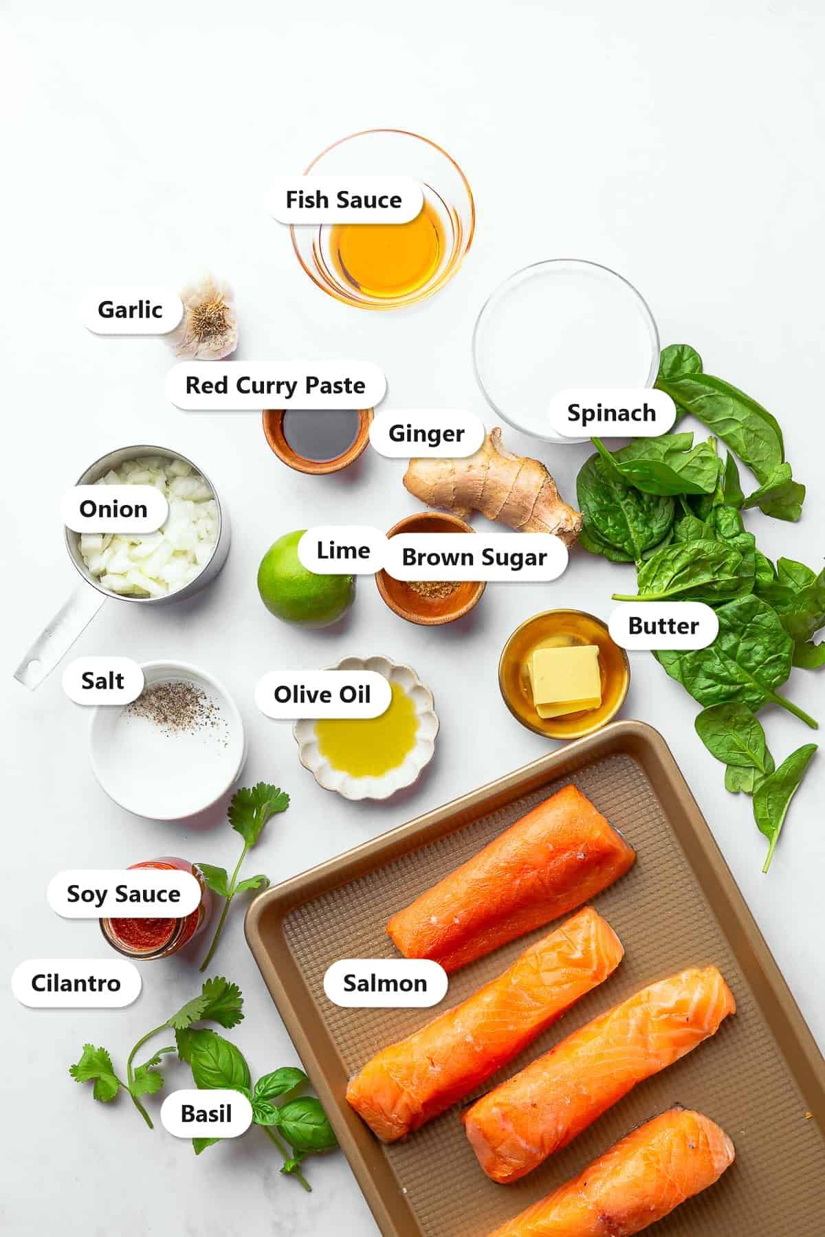 Labeled ingredients for coconut curry salmon including salmon fillets, red curry paste, coconut milk, onion, garlic, ginger, fish sauce, soy sauce, spinach, basil, cilantro, and lime.