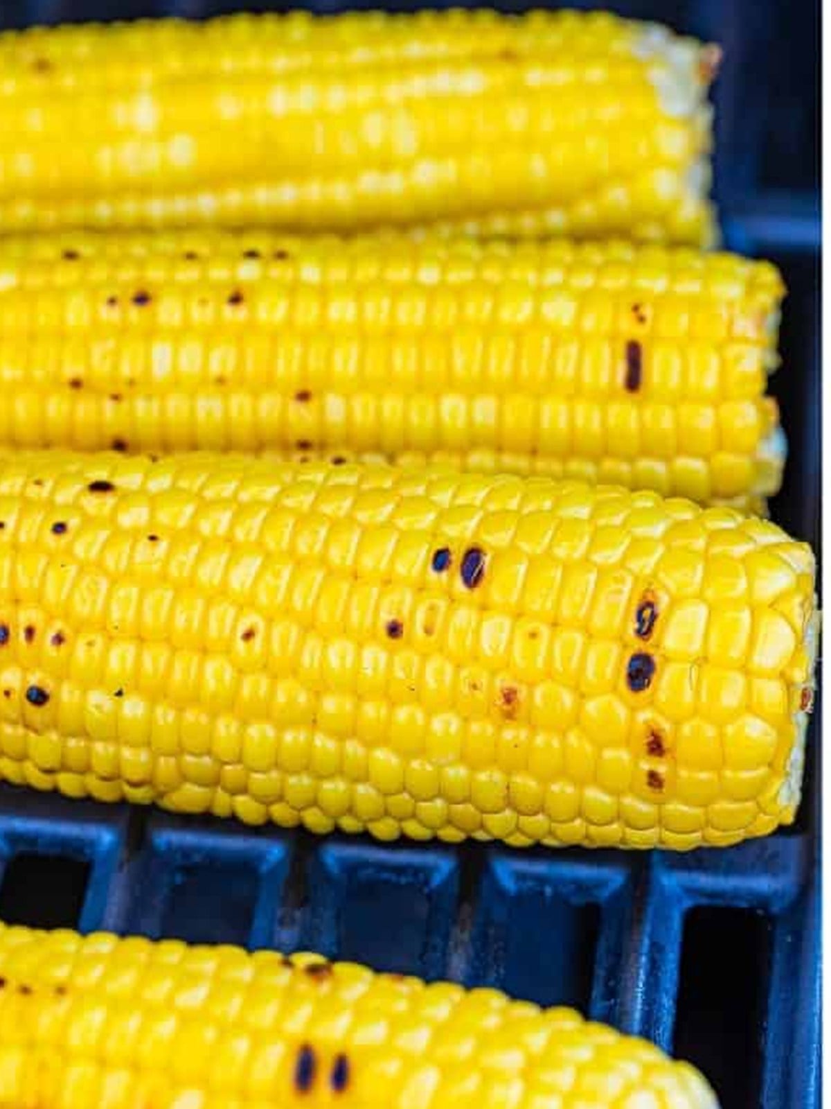 Ears of corn charring on a hot grill for roasted corn salsa.