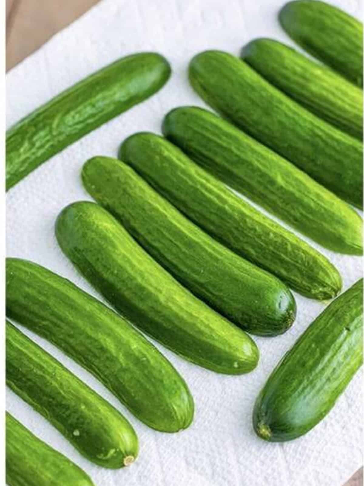 Fresh mini cucumbers washed and patted dry on a paper towel.