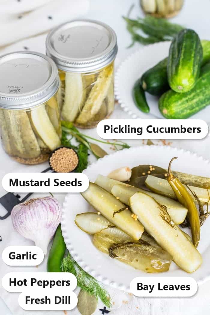 Labeled ingredients for dill pickle recipe including pickling cucumbers, mustard seeds, garlic, hot peppers, fresh dill, and bay leaves.