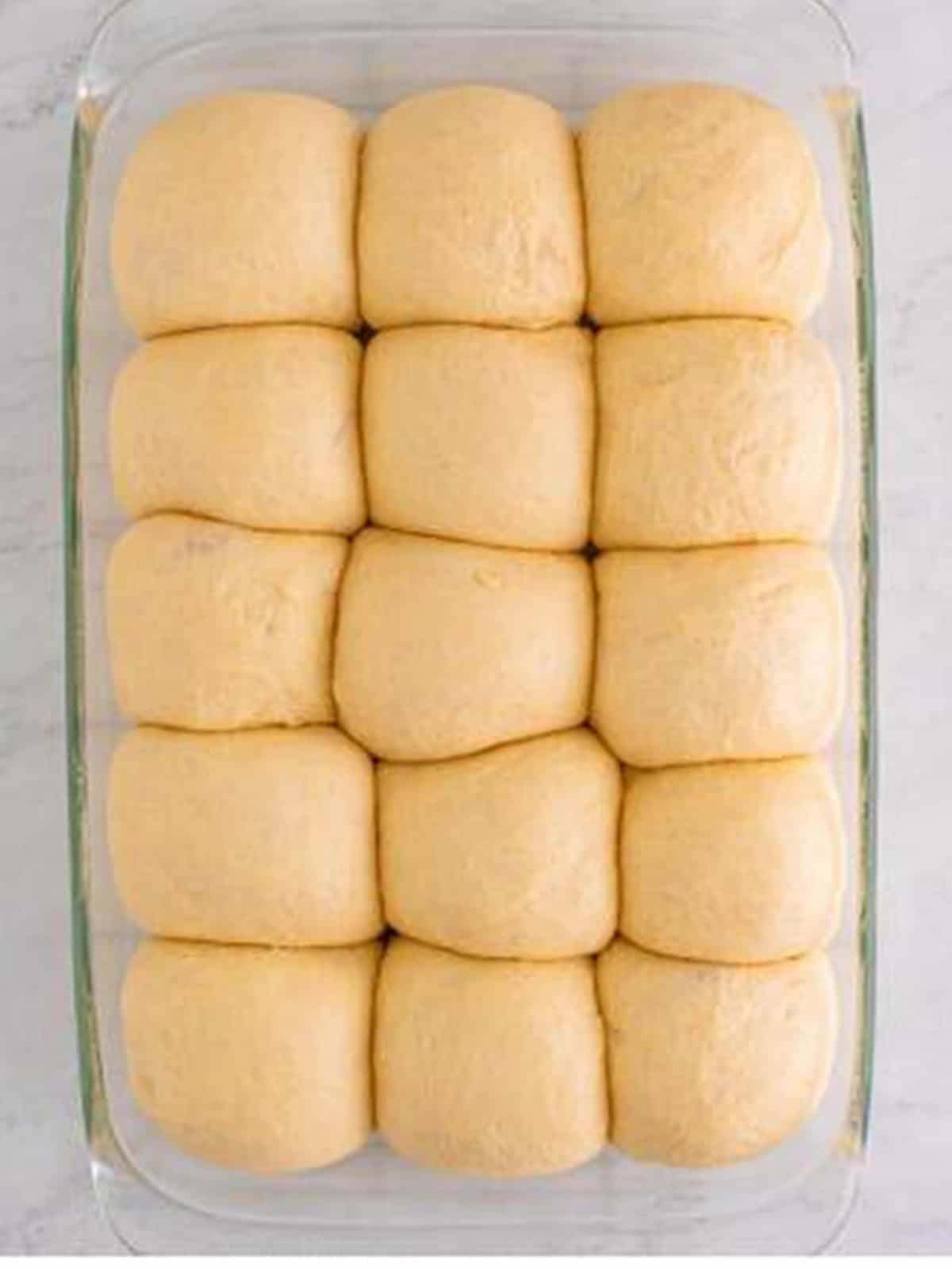 Shaped dough balls arranged in a baking dish before rising.