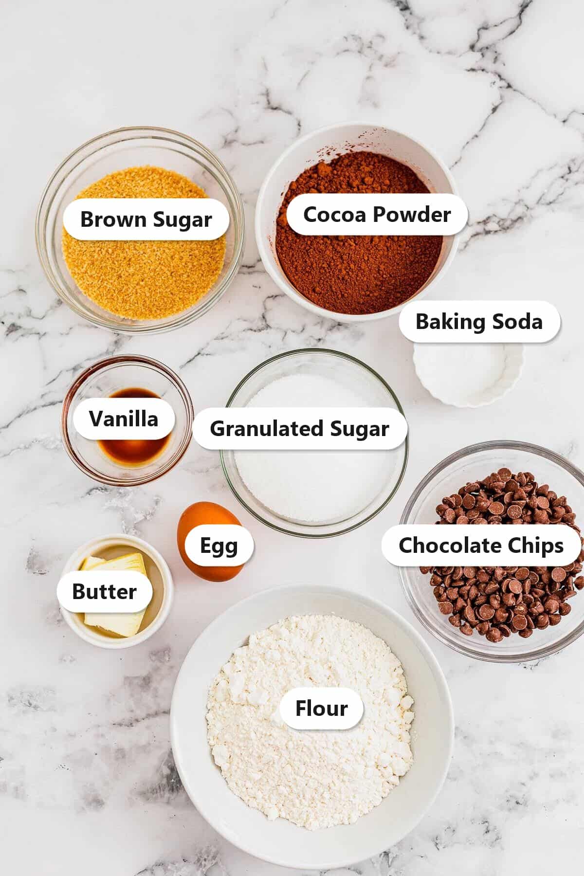 Labeled ingredients to make double chocolate chip cookies including butter, brown sugar, granulated sugar, cocoa powder, flour, egg, vanilla, baking soda, and chocolate chips.