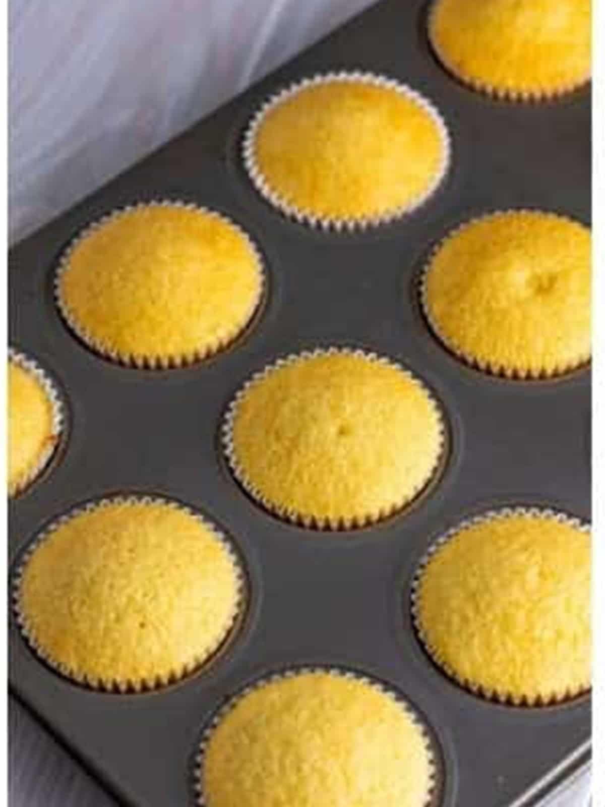 Baked fairy cakes in a muffin tin.
