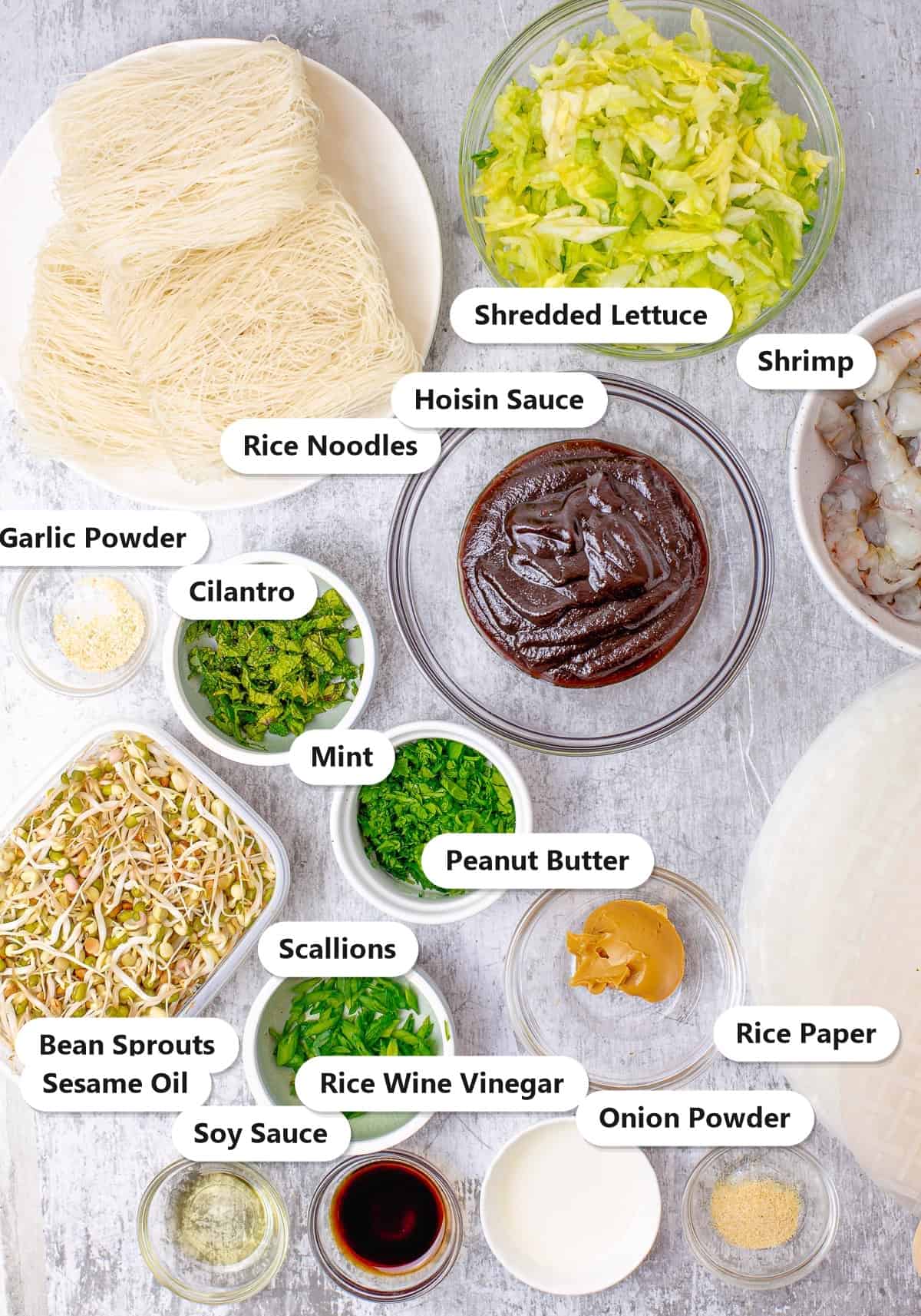 Labeled ingredients to make fresh spring rolls including rice noodles, shredded lettuce, shrimp, bean sprouts, cilantro, mint, scallions, rice paper, hoisin sauce, peanut butter, and seasonings.