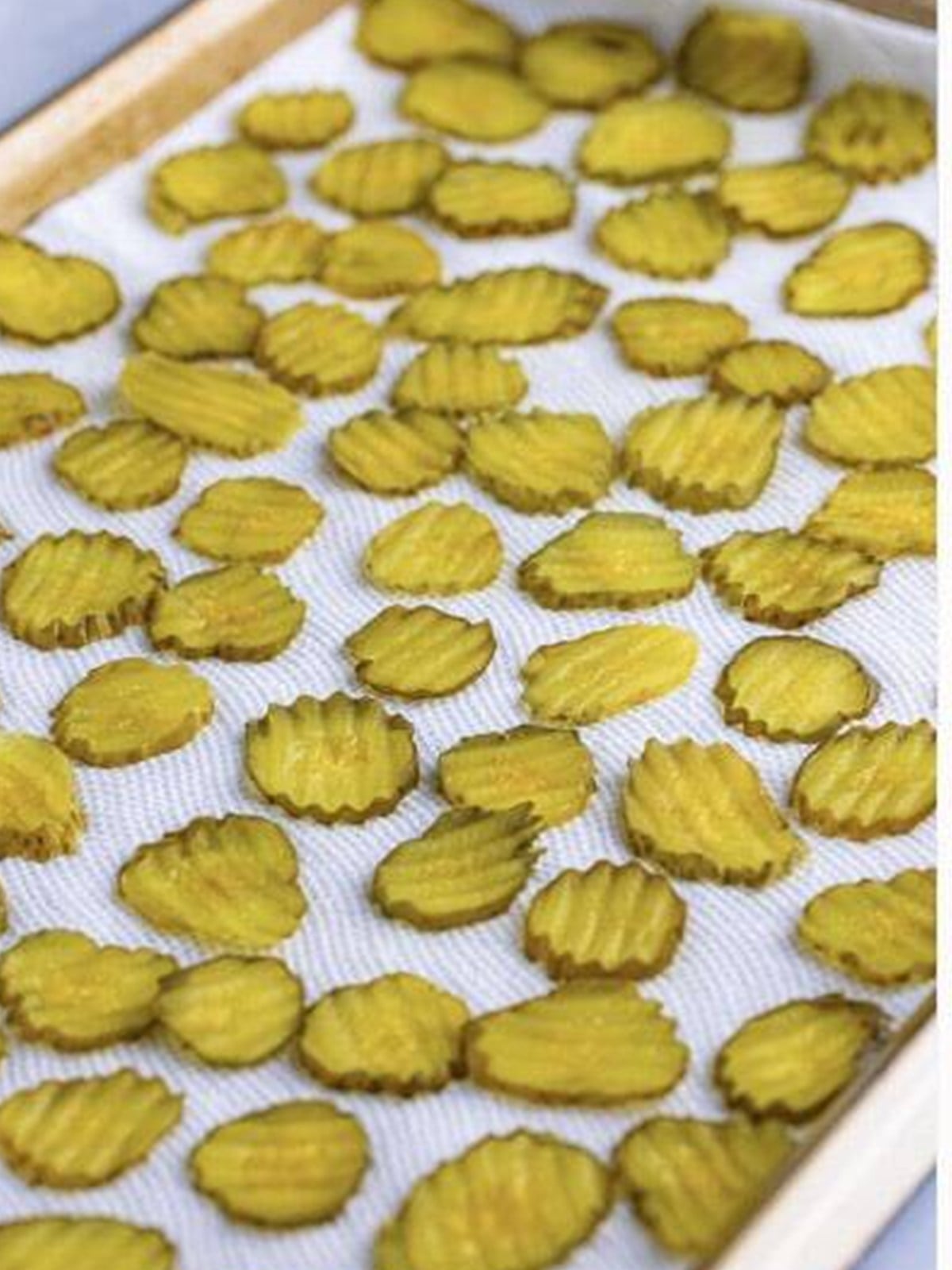 Dill pickle chips patted dry on a paper towel lined tray.