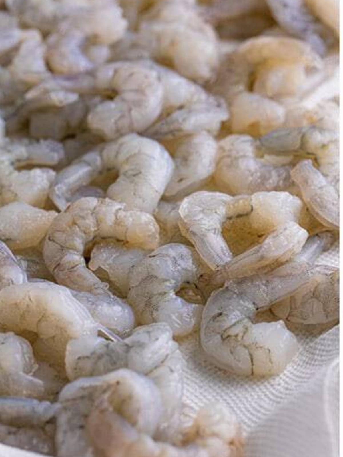 Raw shrimp dried on paper towels for fried shrimp recipe.