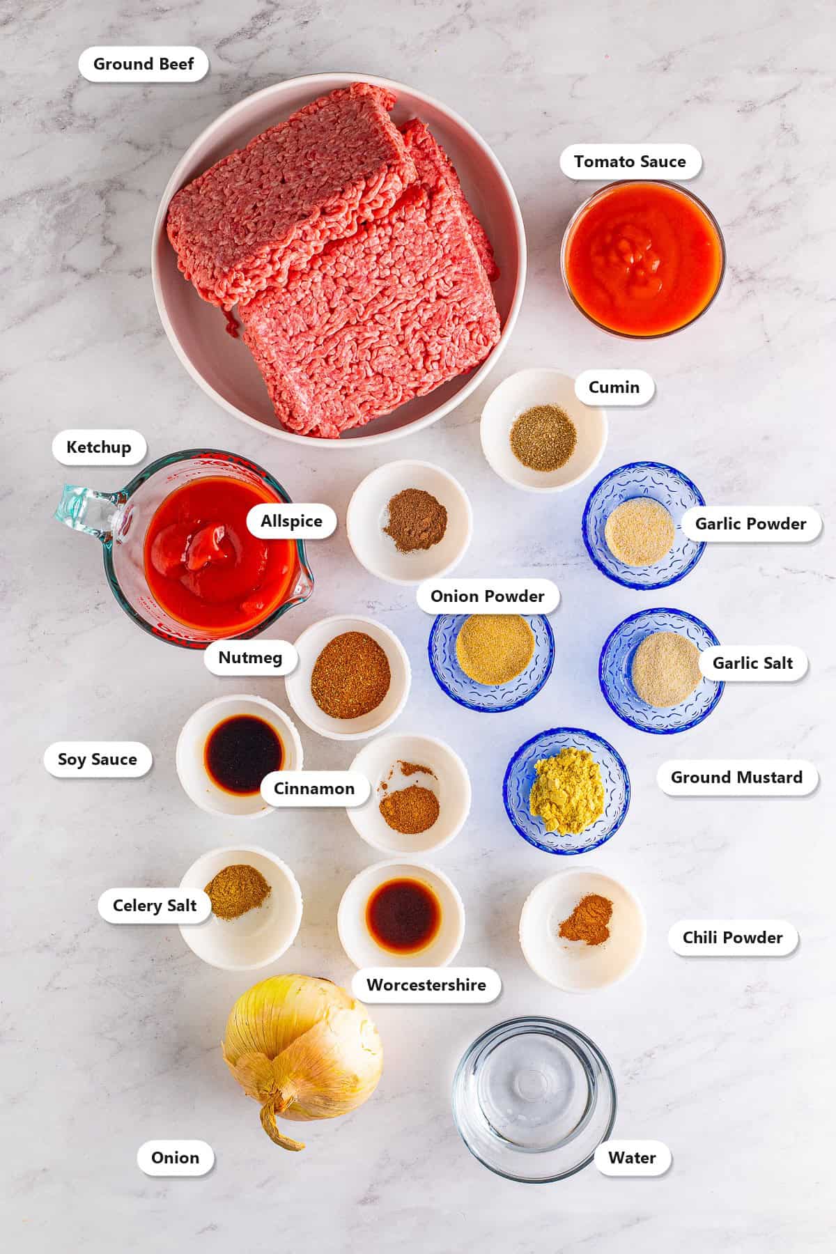 Labeled ingredients to make New York style hot dog chili including ground beef, tomato sauce, ketchup, onion, soy sauce, Worcestershire sauce, and individually labeled chili seasonings such as chili powder, ground mustard, cumin, allspice, nutmeg, cinnamon, garlic powder, onion powder, garlic salt, and celery salt.