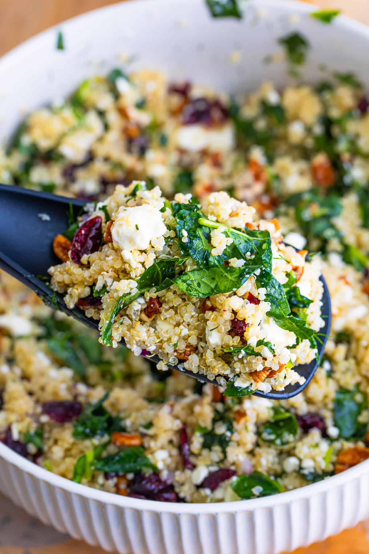 A serving of kale and quinoa salad with dried cranberries, pecans, and crumbled feta in a white bowl.