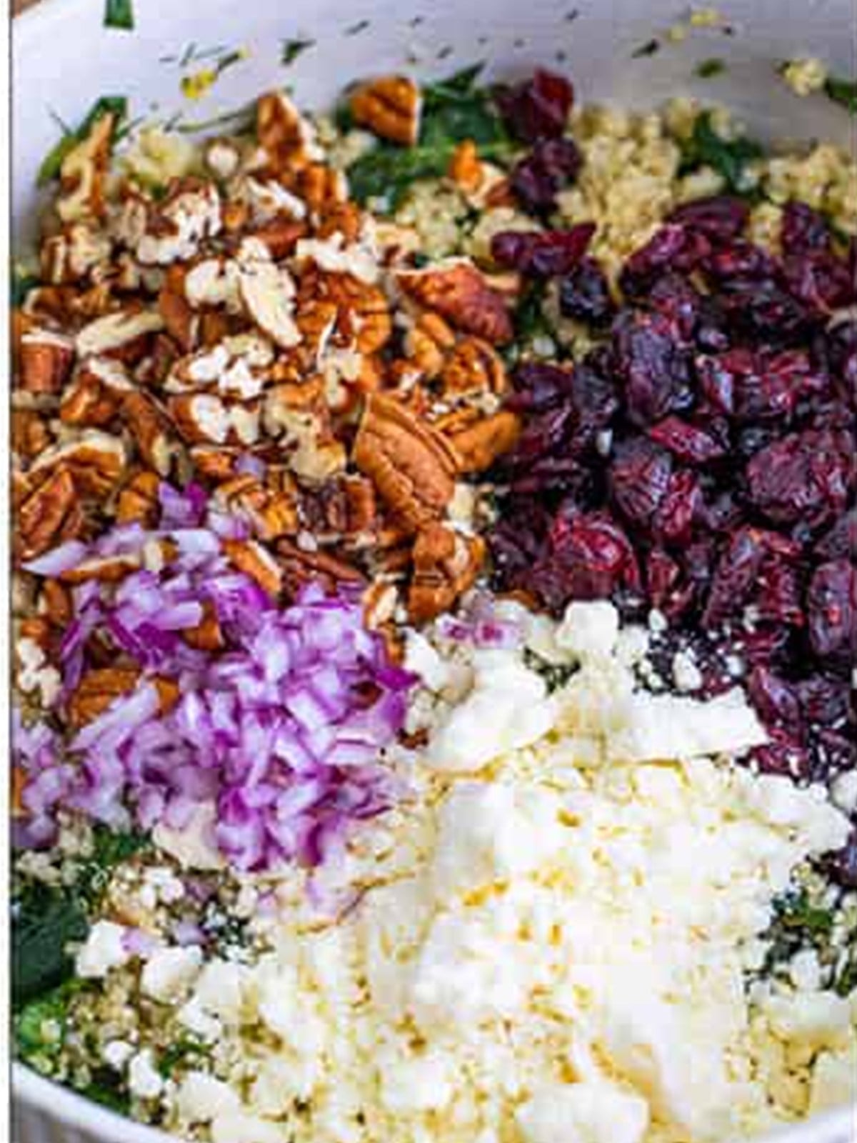 Pecans, dried cranberries, red onion, and feta added to the kale and quinoa salad.