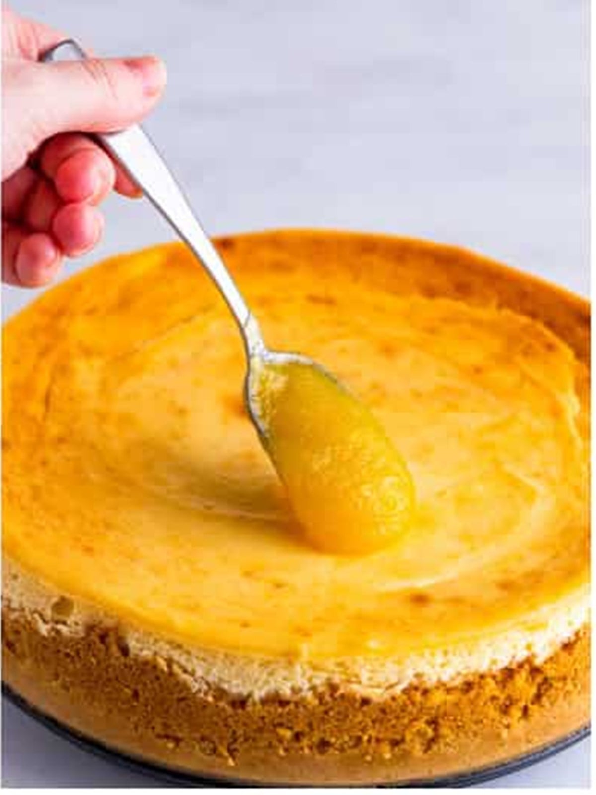 Spreading lemon curd over the baked Lemon Cheesecake.