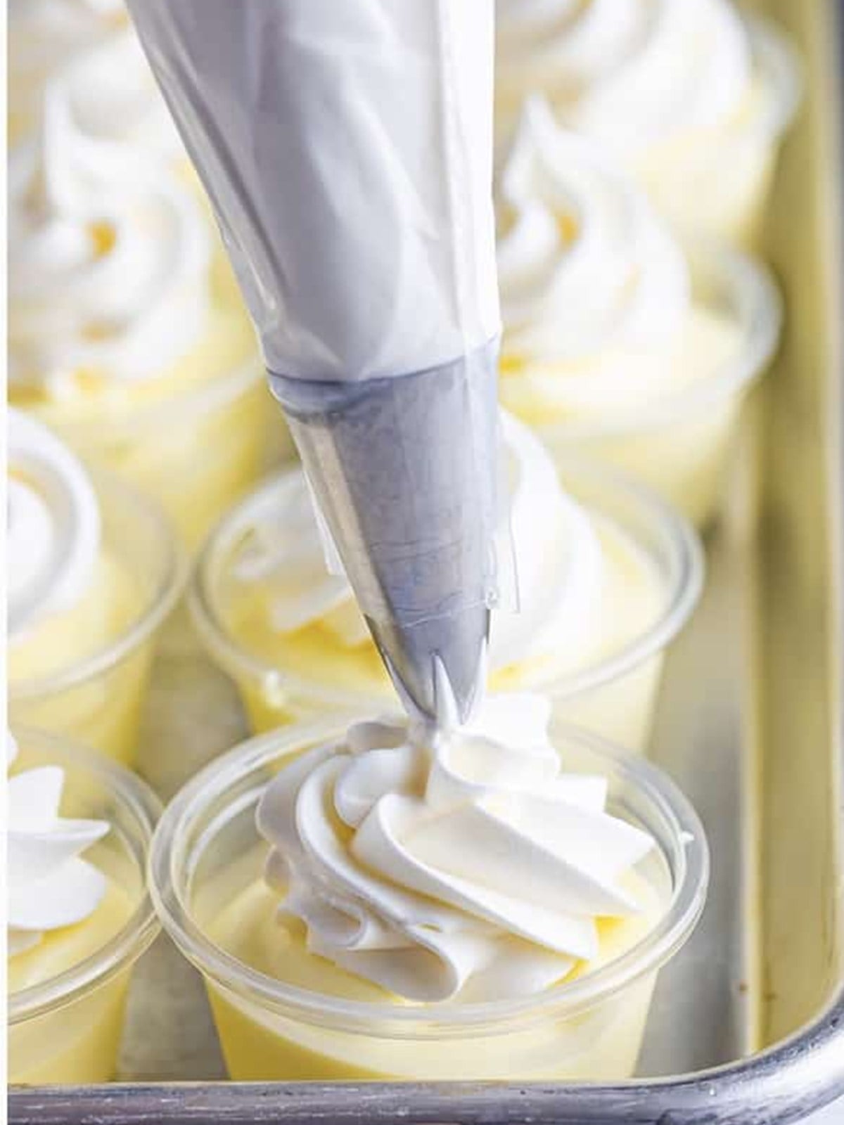 Whipped topping piped onto each lemon pudding shot before serving.