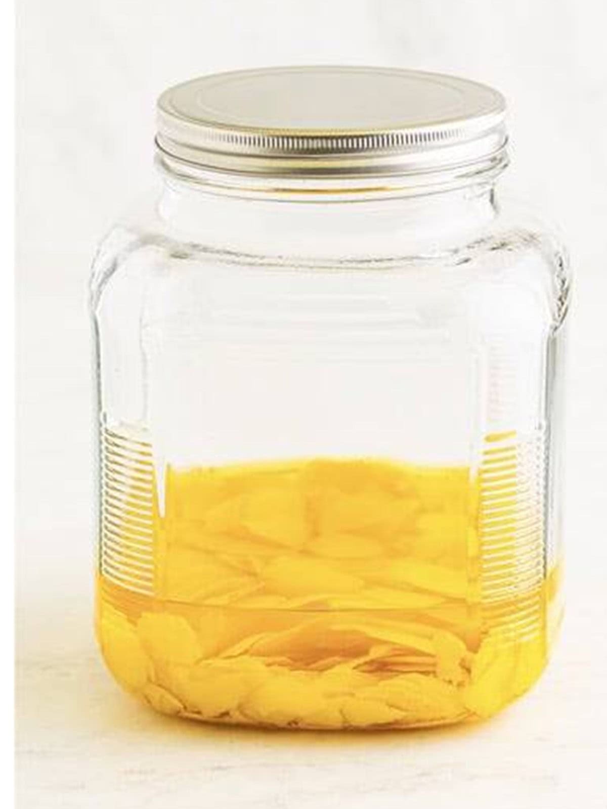 Lemon peels steeping in grain alcohol in a sealed jar for limoncello recipe.