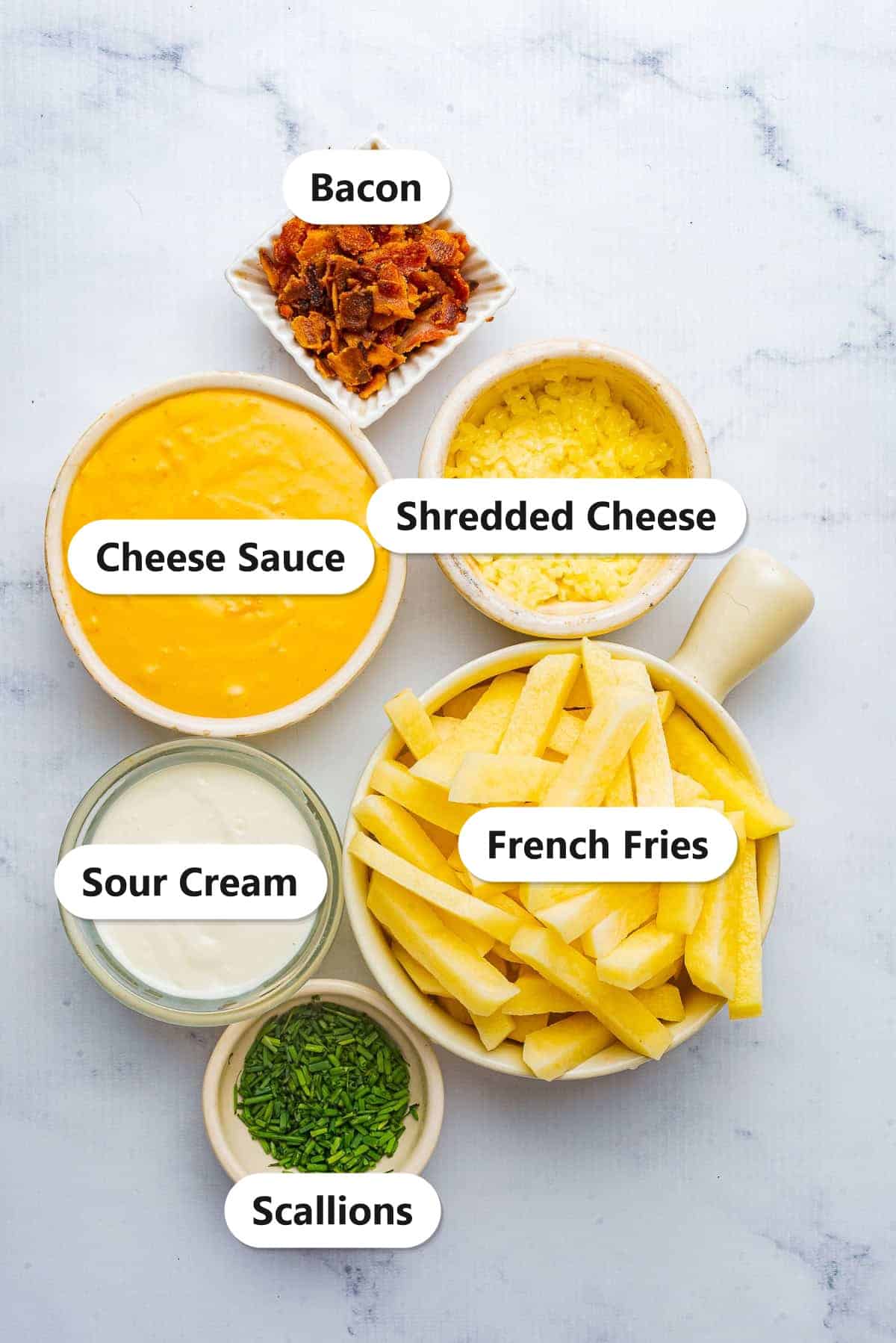 Labeled loaded fries ingredients including french fries, shredded cheese, cheese sauce, bacon, sour cream, and scallions.