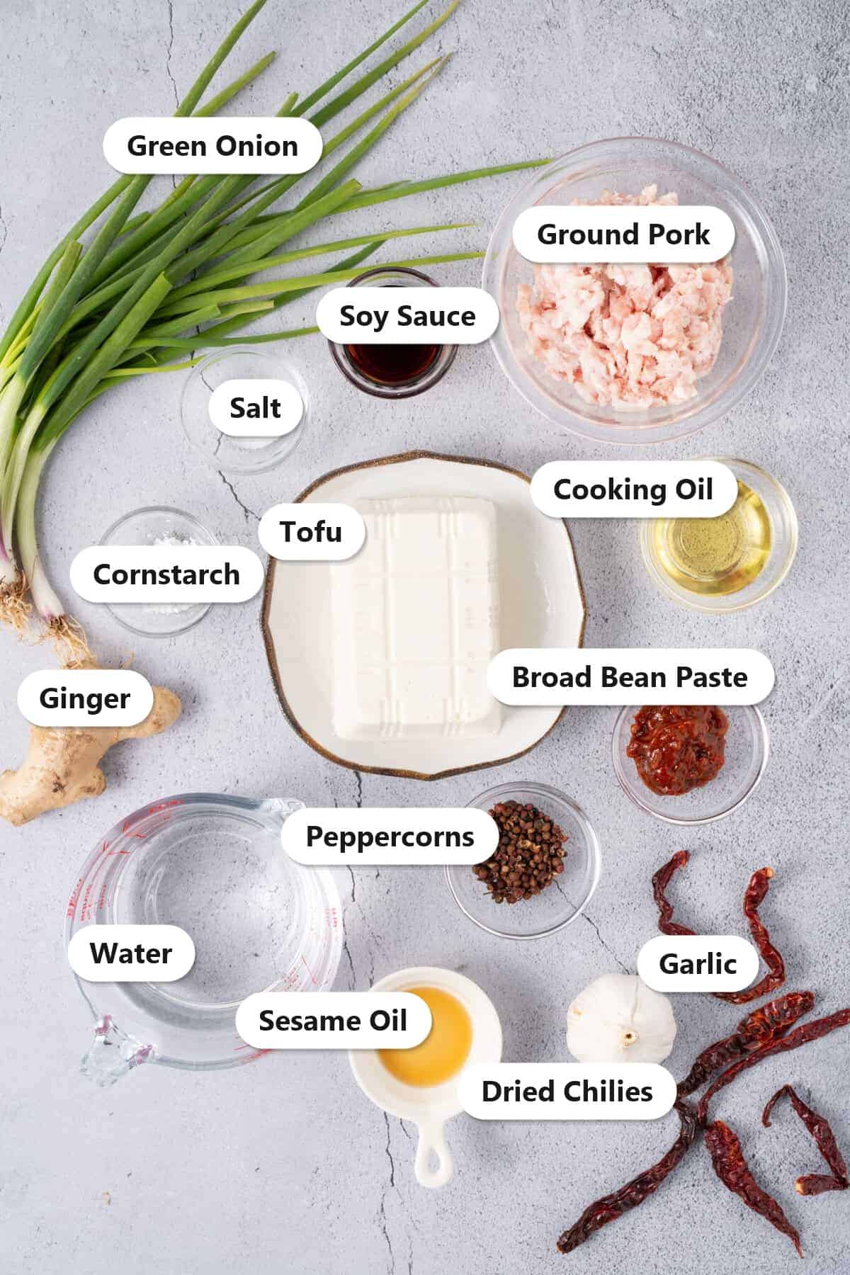 Mapo Tofu ingredients labeled: tofu, ground pork, green onion, garlic, ginger, broad bean paste, soy sauce, peppercorns, dried chilies, oil, and cornstarch.