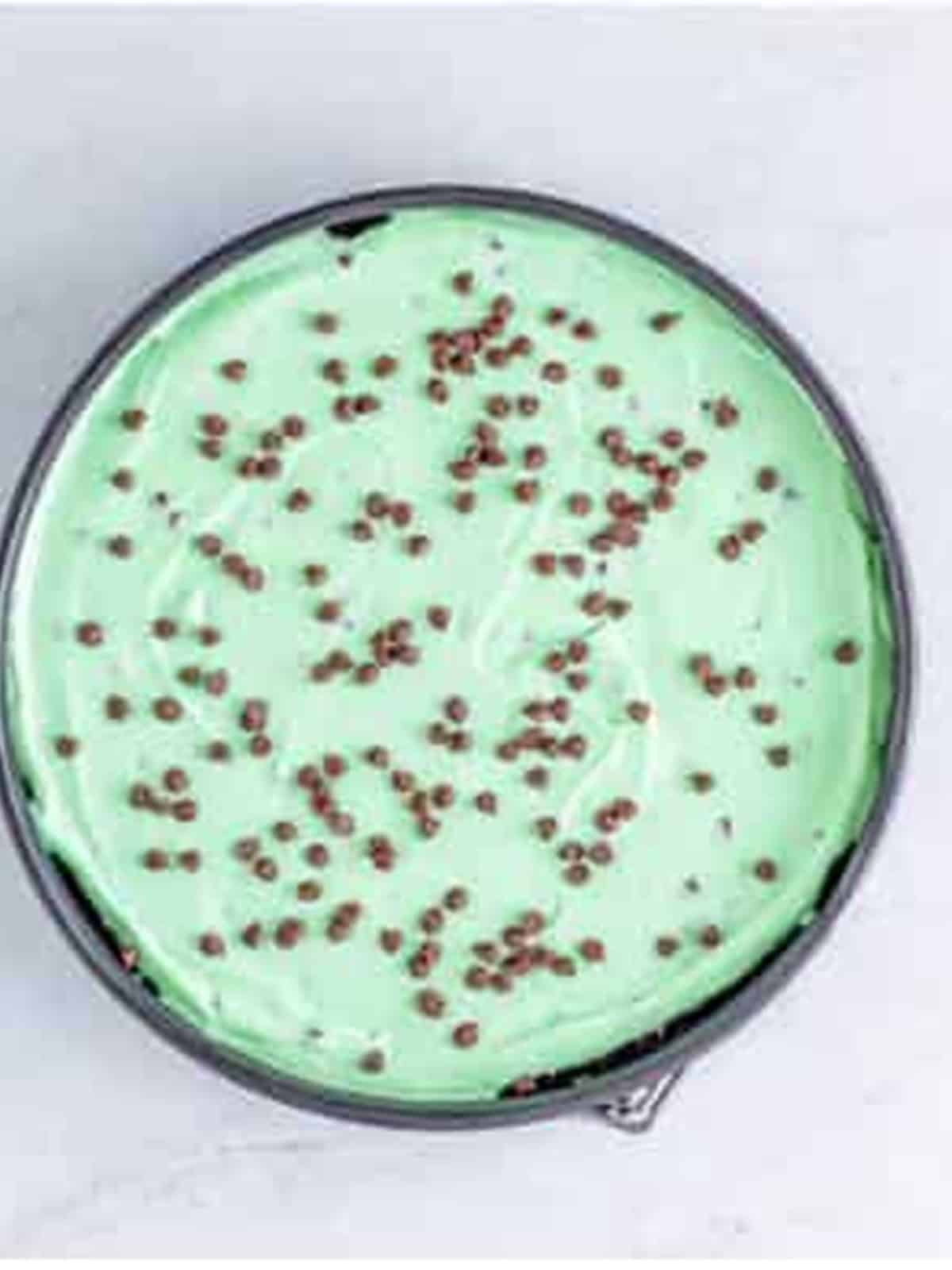 Mint chocolate cheesecake filling smoothed into the Oreo crust and topped with mini chocolate chips.