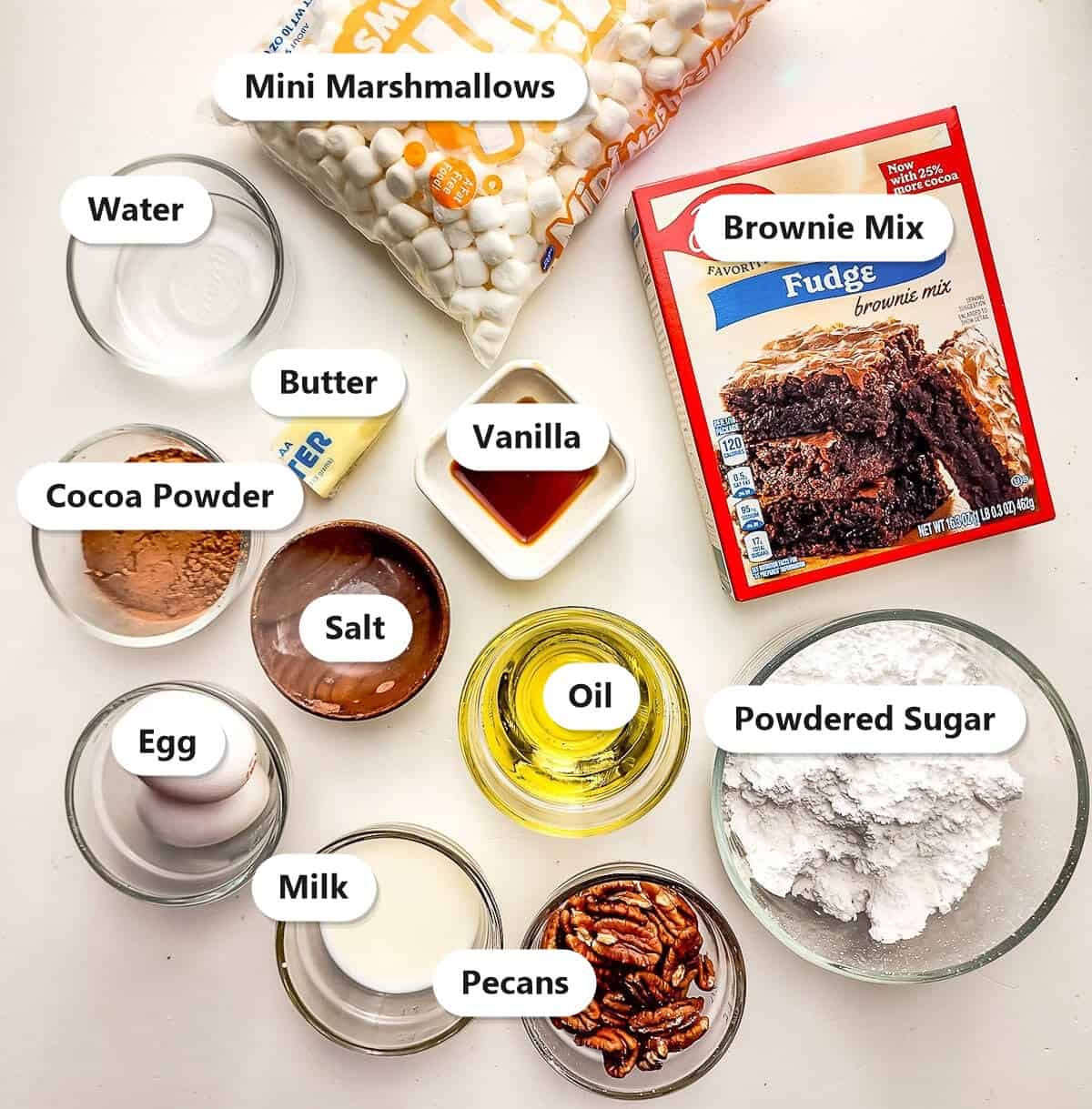 Ingredients to make Mississippi mud brownies labeled including fudge brownie mix, pecans, mini marshmallows, cocoa powder, powdered sugar, butter, milk, vanilla, egg, oil, and salt.