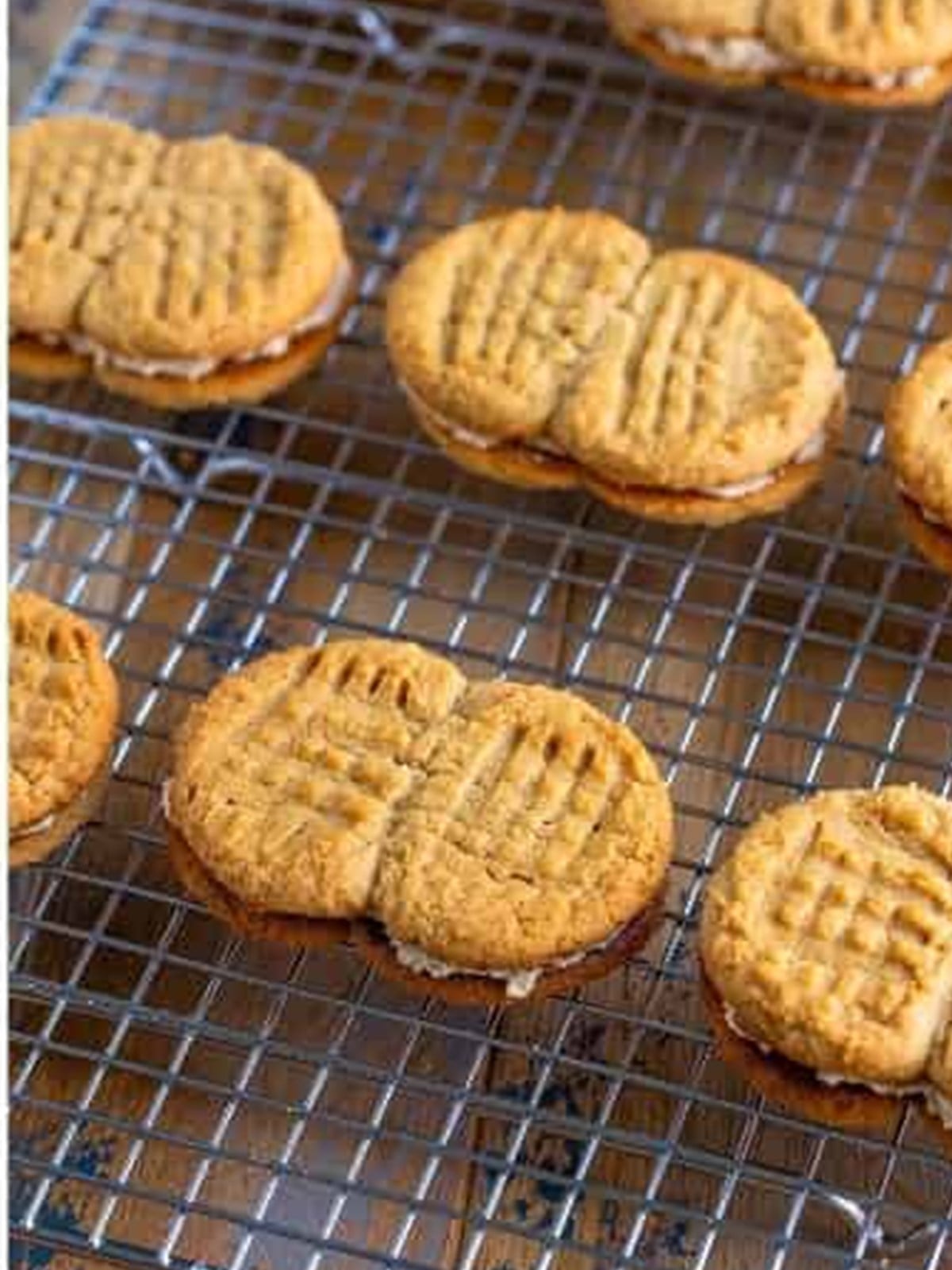 Homemade nutter butter cookies sandwiched with peanut butter filling.