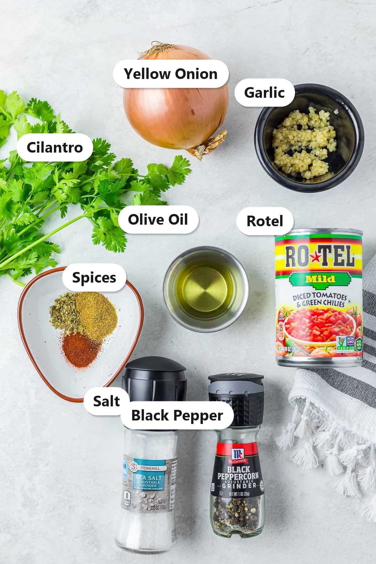 Labeled ingredients to make tomato onion relish including yellow onion, garlic, Rotel, olive oil, cilantro, and spices.