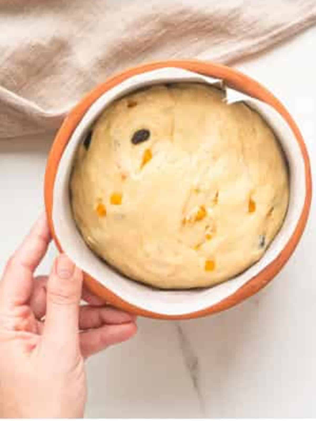 Panettone dough proofing and rising in a parchment lined cake pan.