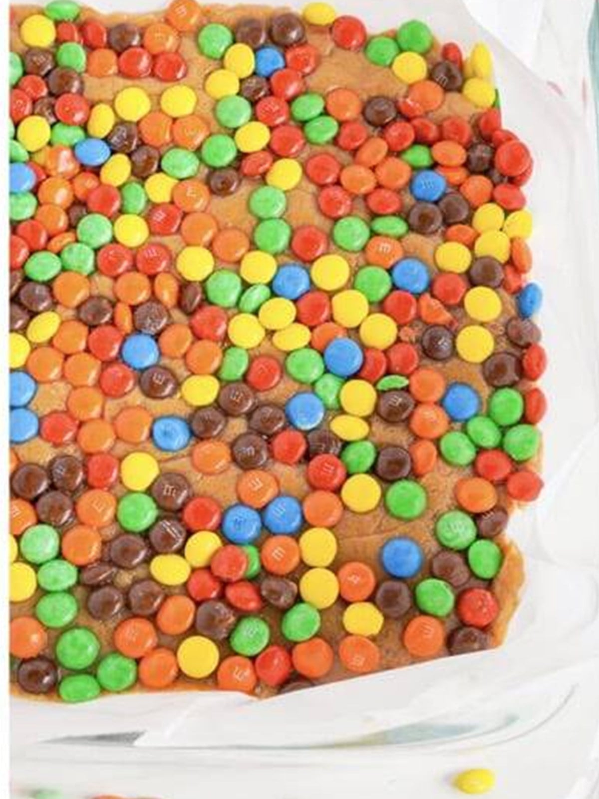 Peanut butter fudge topped with M&Ms set in the pan, ready to cut.
