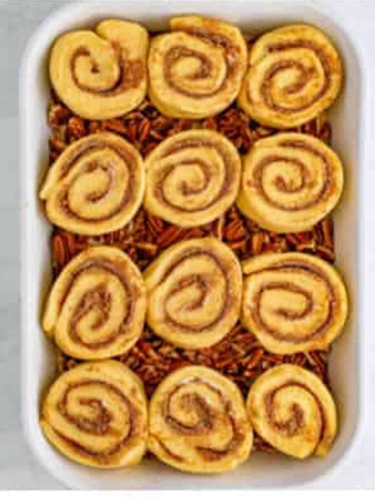 Sliced sticky buns arranged cut side up over the pecan topping in a baking dish.