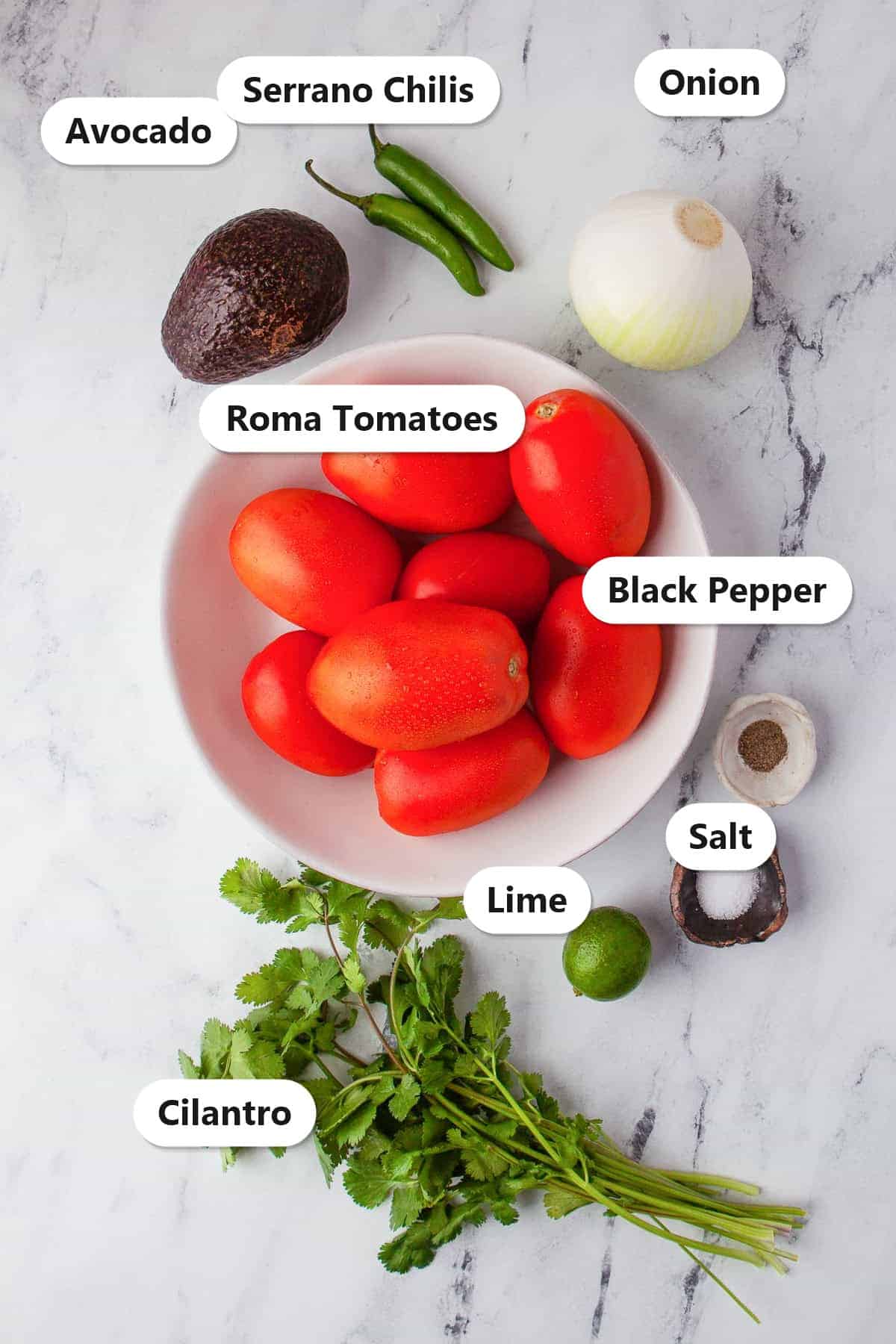 Labeled ingredients for pico de gallo including Roma tomatoes, onion, serrano chilis, cilantro, lime, salt, black pepper, and avocado.