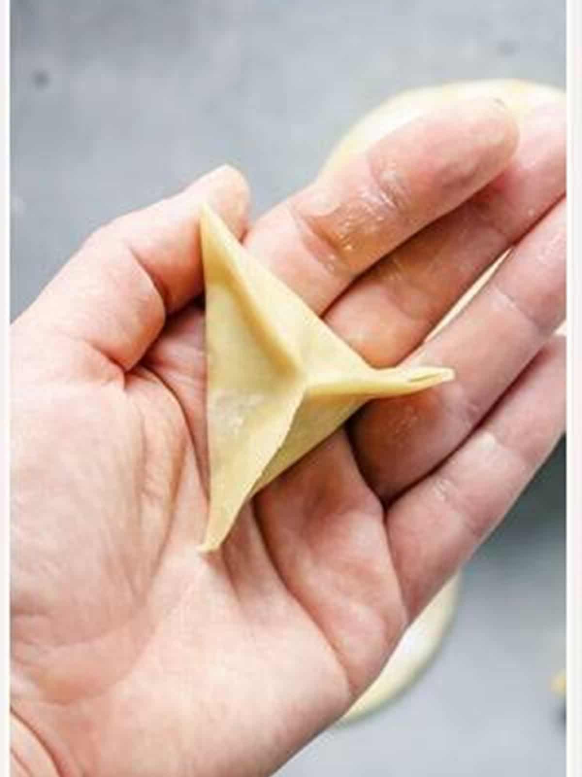 A folded and sealed pork and chive dumpling.