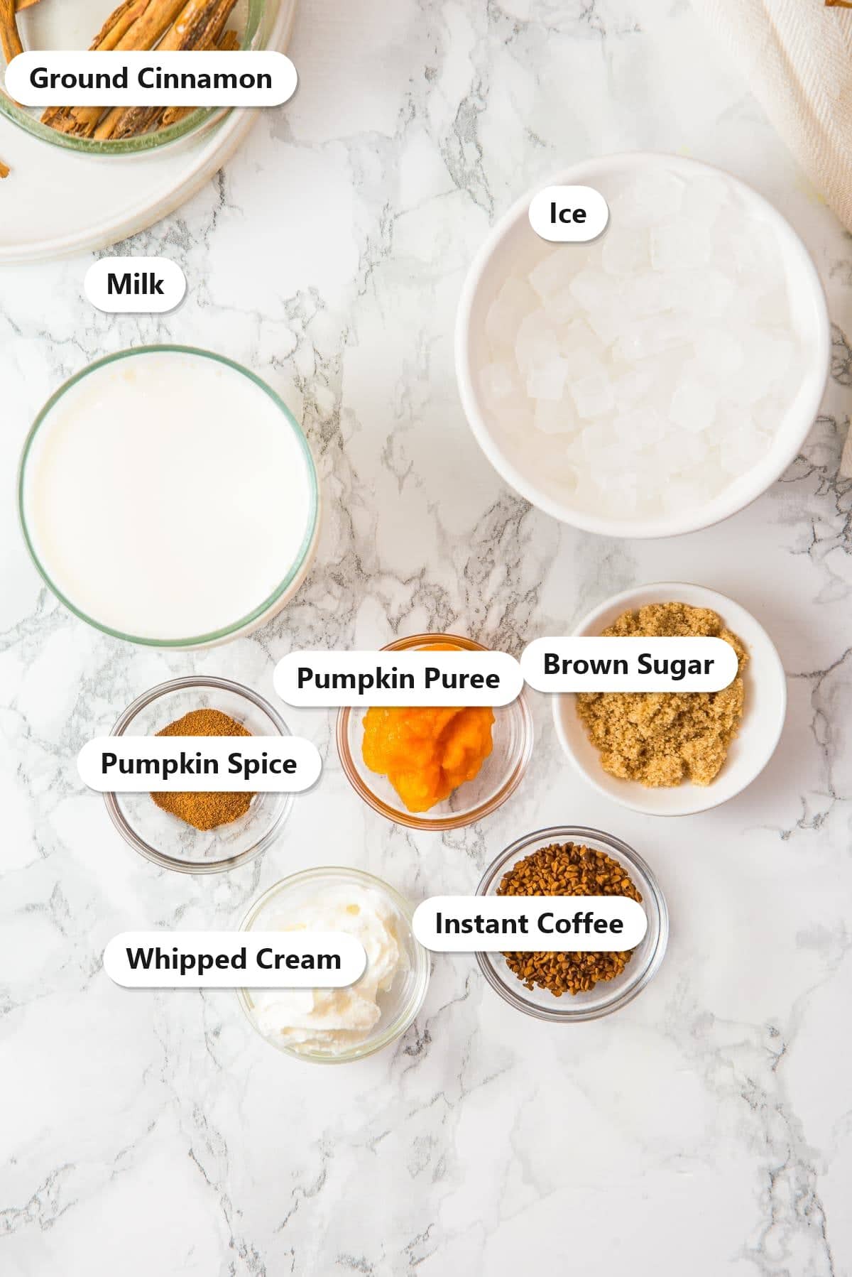 Labeled ingredients to make a pumpkin spice latte: ground cinnamon, milk, ice, pumpkin puree, brown sugar, pumpkin spice, instant coffee, and whipped cream.