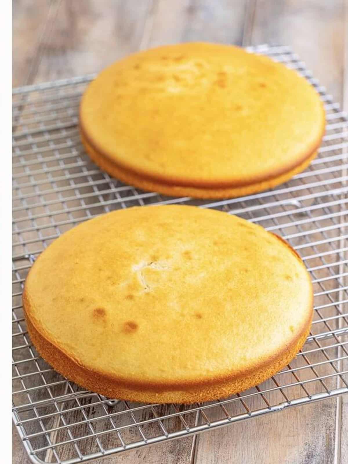 Two baked white cake layers cooling on a wire rack for rainbow jello cake.