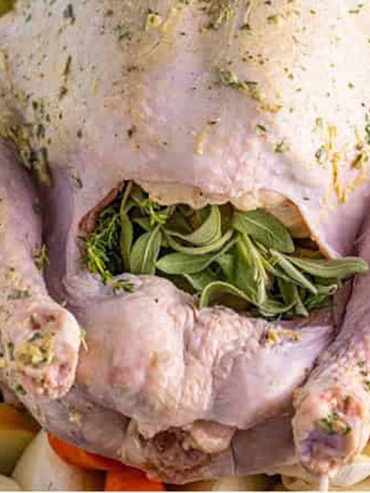 The turkey cavity stuffed with citrus, garlic, and fresh herbs before roasting.