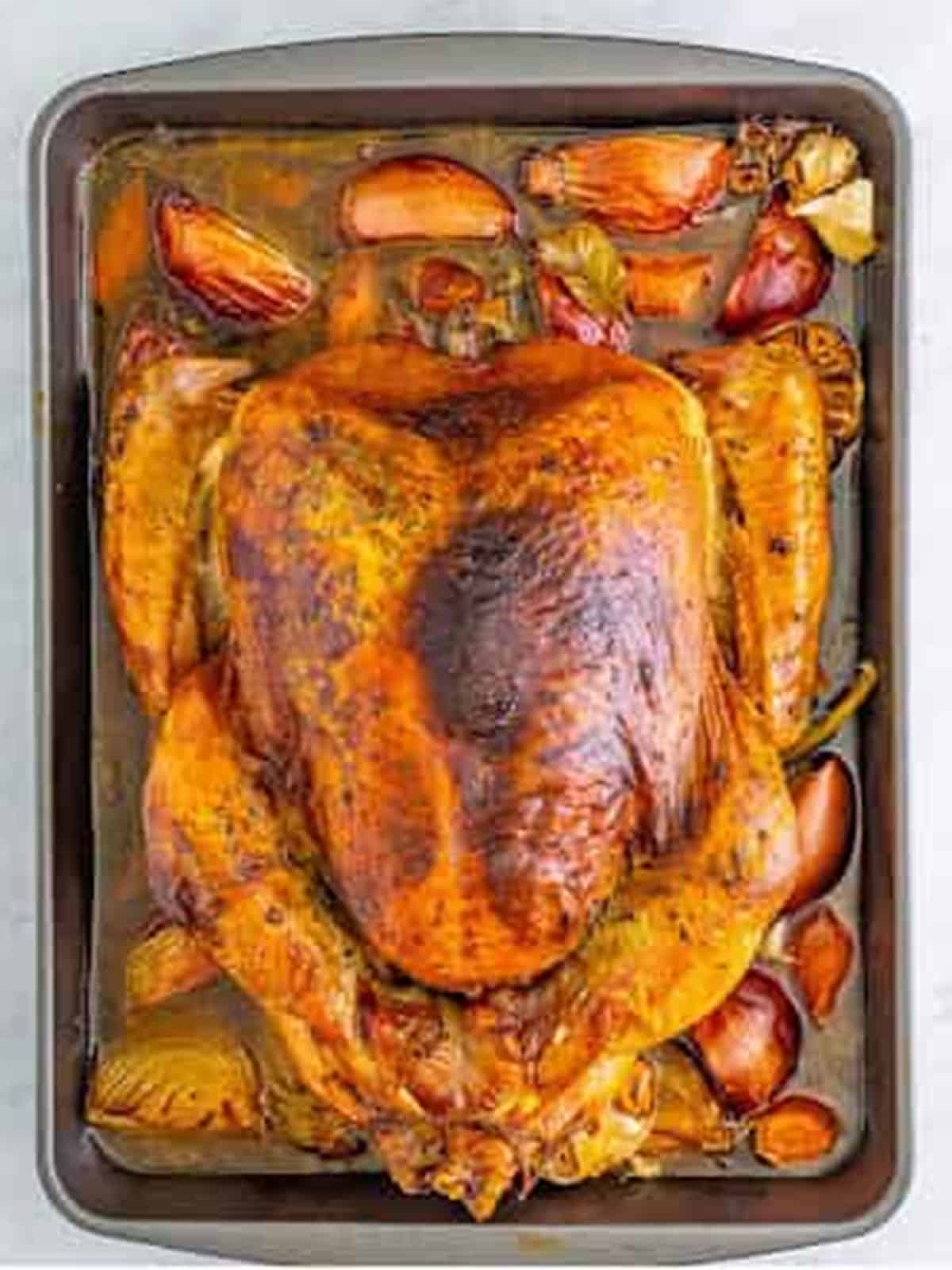 Golden brown whole roasted turkey fresh out of the oven in the roasting pan.