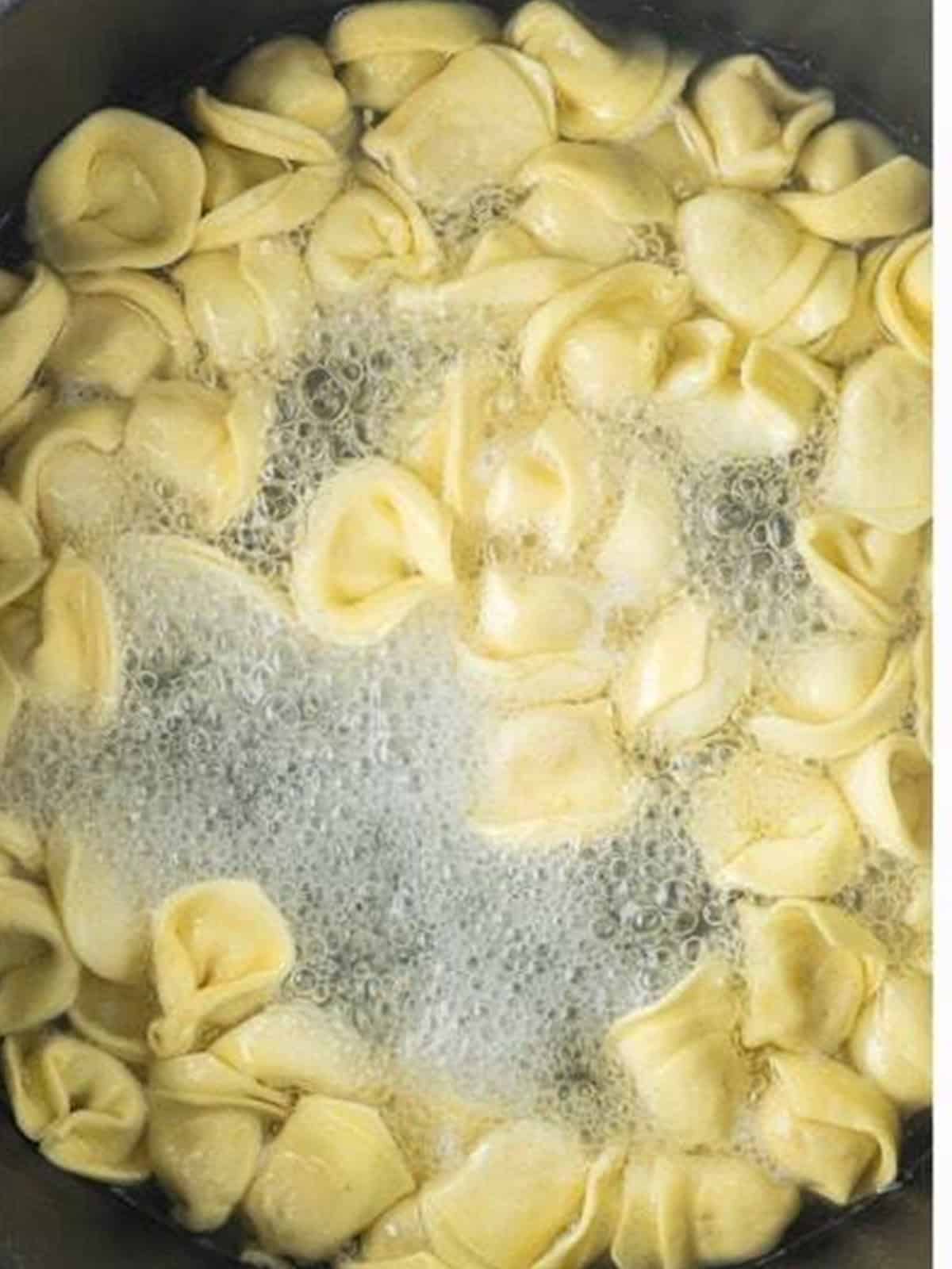 Fresh tortellini boiling in a pot of water for sausage tortellini bake.