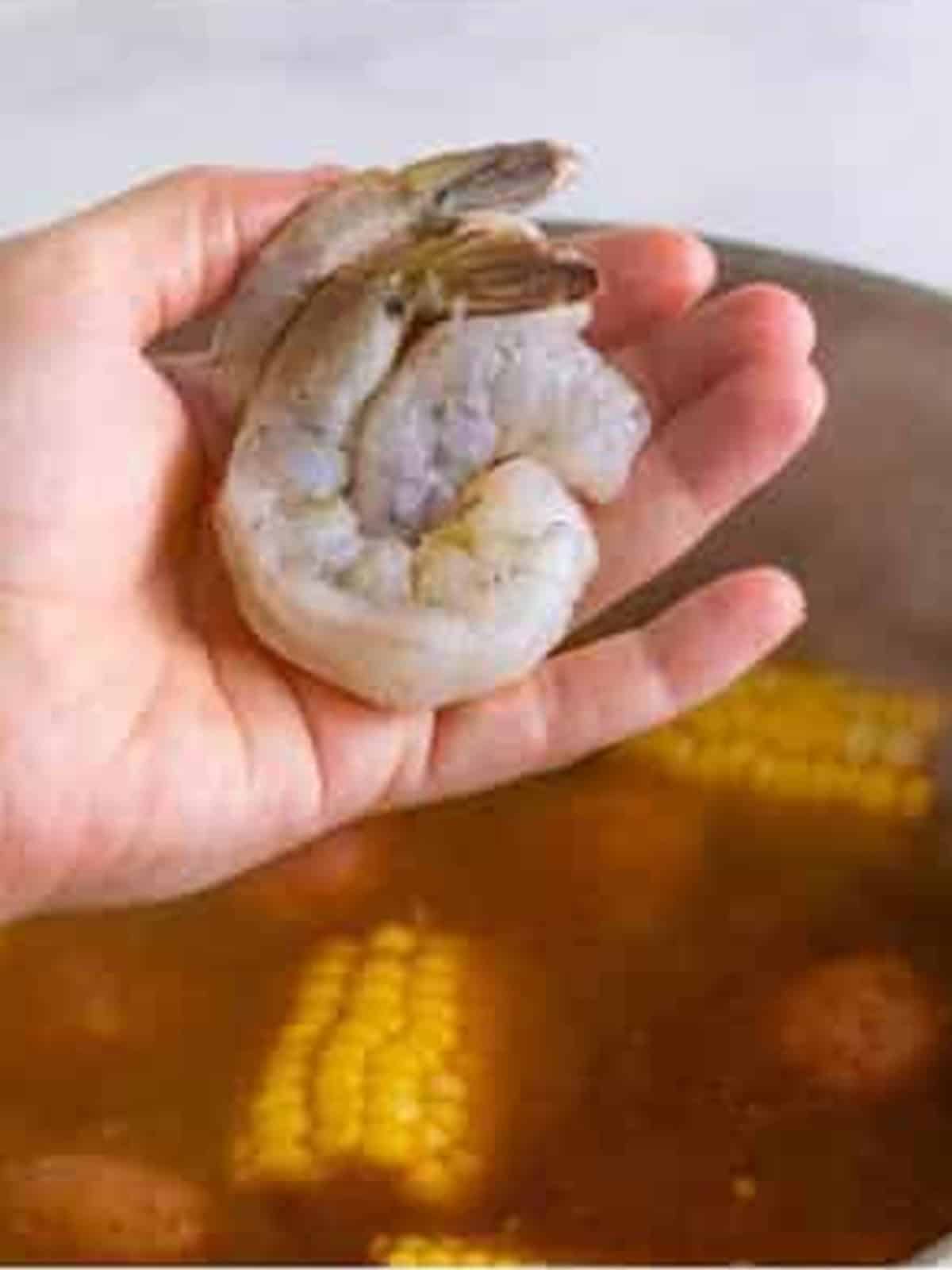 Large shrimp added to the pot to cook until opaque for shrimp boil.