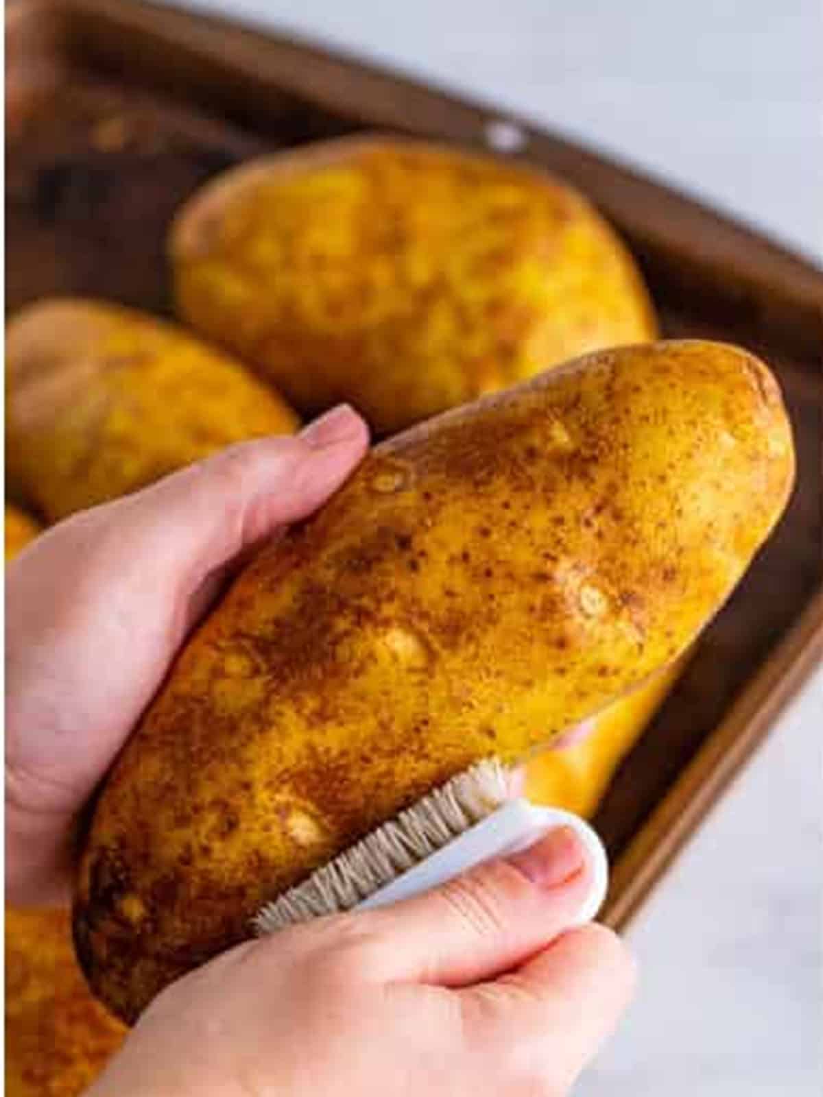 Scrubbing a russet potato clean under cold water for slow cooker baked potatoes.
