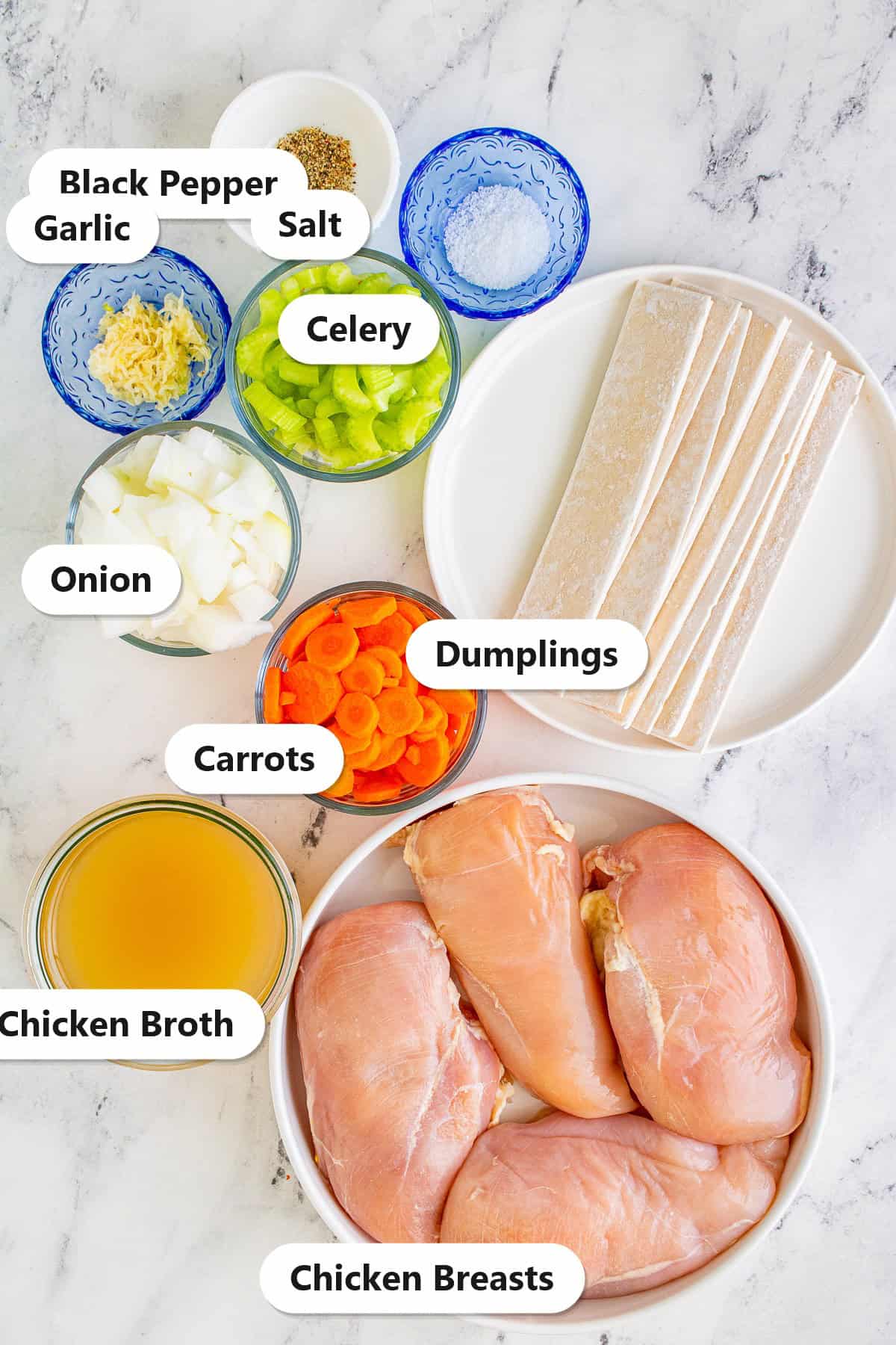 Labeled ingredients to make slow cooker chicken and dumplings including chicken breasts, chicken broth, frozen dumplings, carrots, onion, celery, garlic, salt, and black pepper.