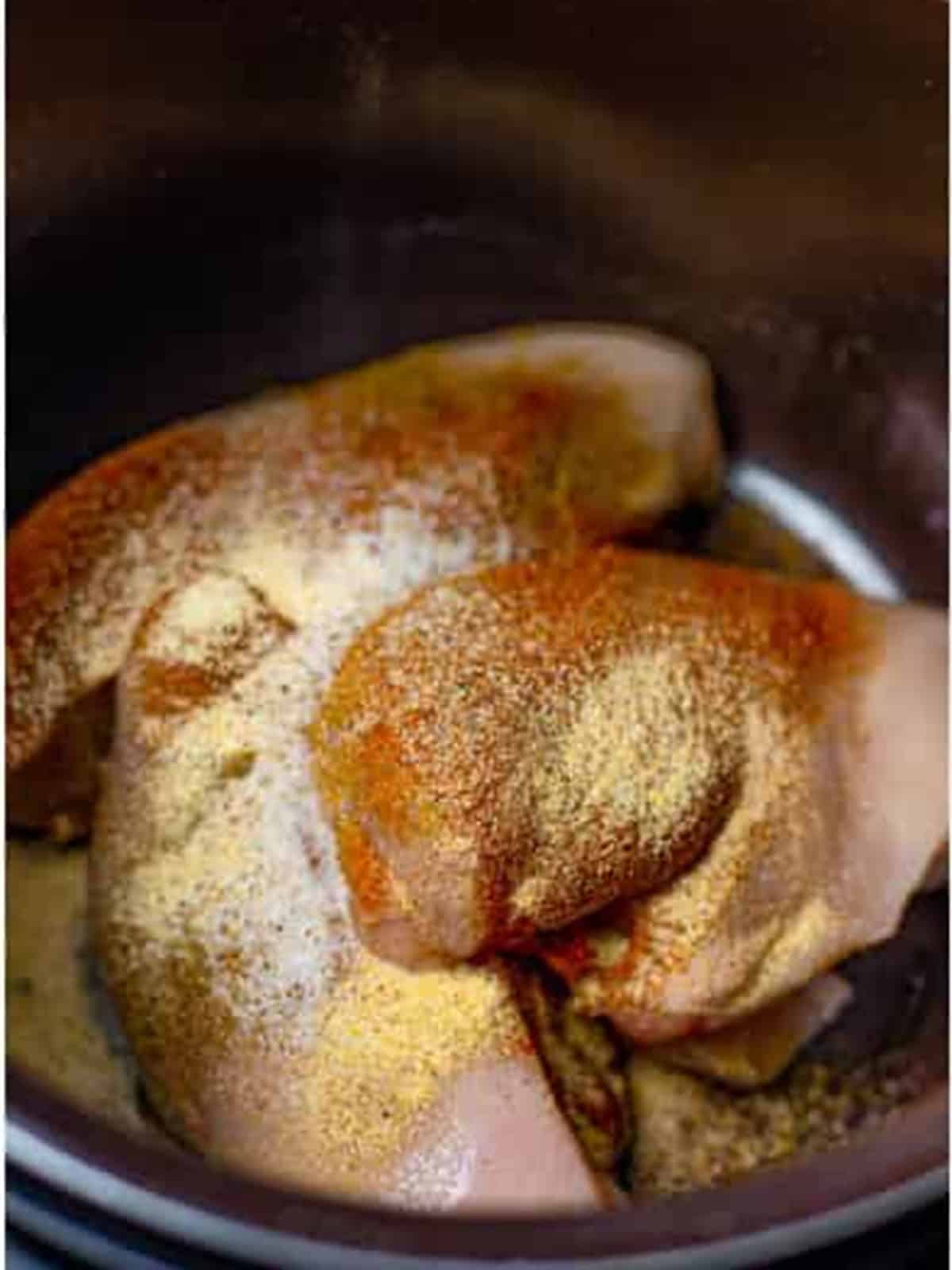Cumin, paprika, onion powder, garlic powder, salt, and pepper sprinkled over chicken in the slow cooker.
