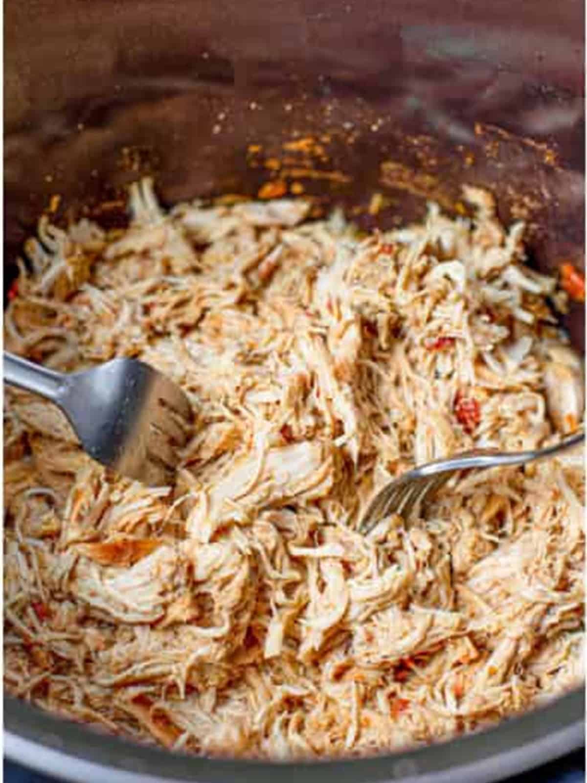 Chicken shredded with two forks in the slow cooker juices for chicken burritos.