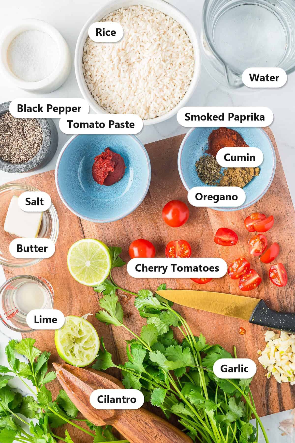 Labeled ingredients for Spanish Rice including rice, cherry tomatoes, tomato paste, garlic, cilantro, lime, and spices.