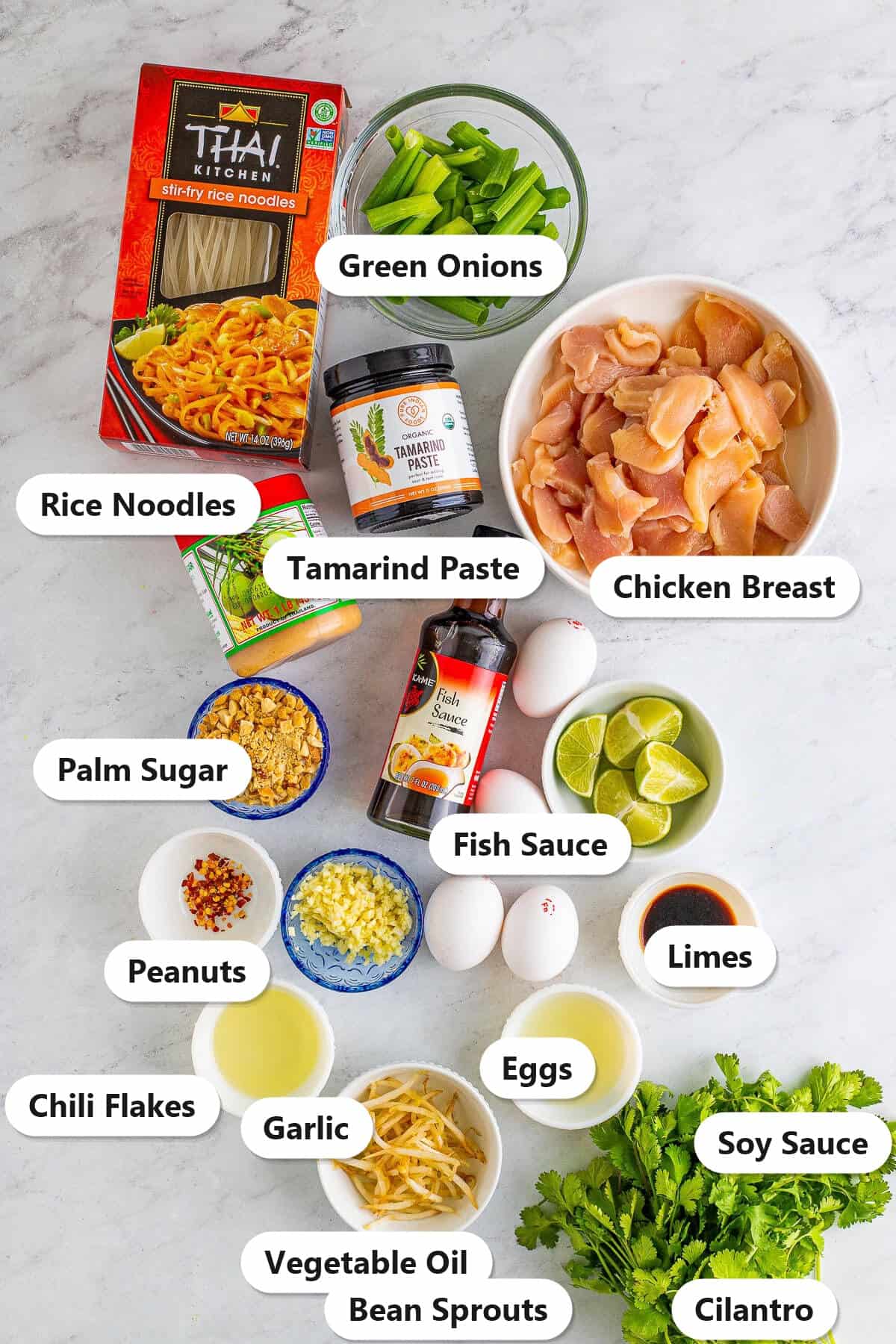 Labeled ingredients for spicy pad thai recipe including rice noodles, chicken breast, tamarind paste, fish sauce, palm sugar, eggs, bean sprouts, and garnishes.