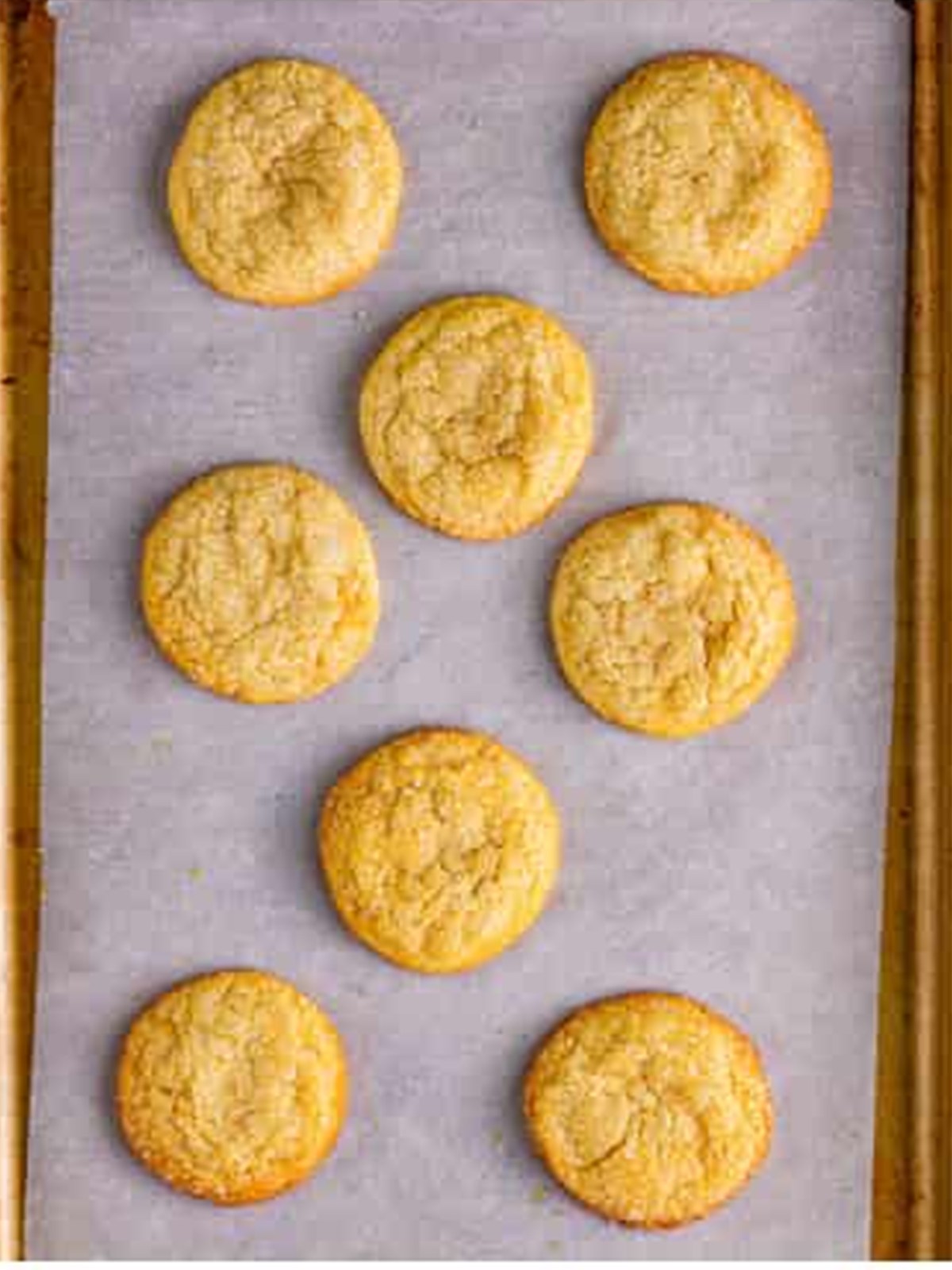 Golden baked soft and chewy sugar cookies on parchment paper