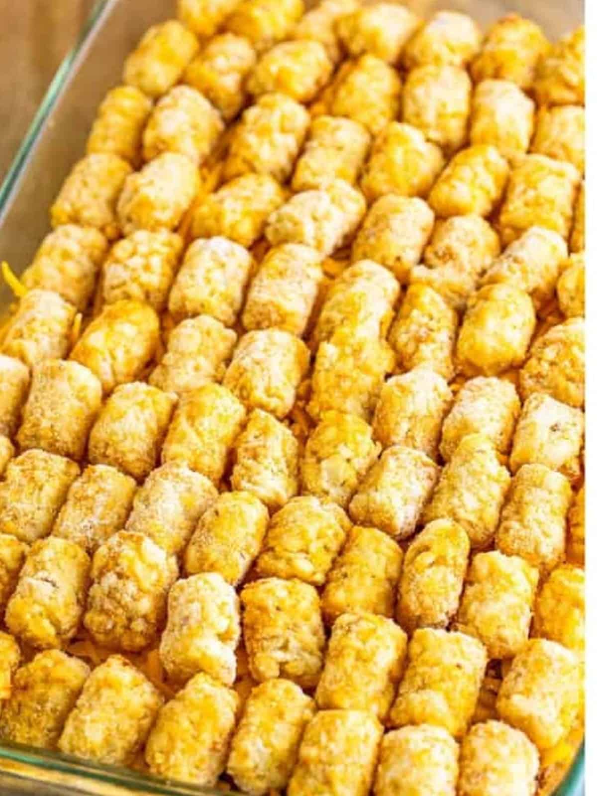 Frozen tater tots arranged in a single layer over the cheese.