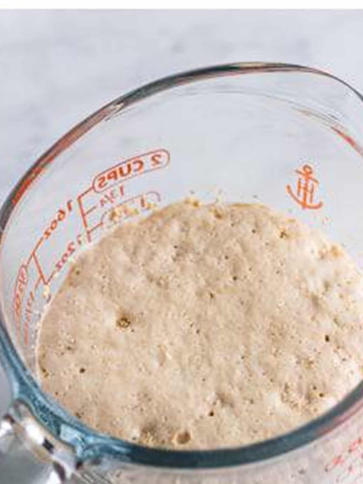 Active dry yeast blooming and frothing in warm milk in a measuring cup.