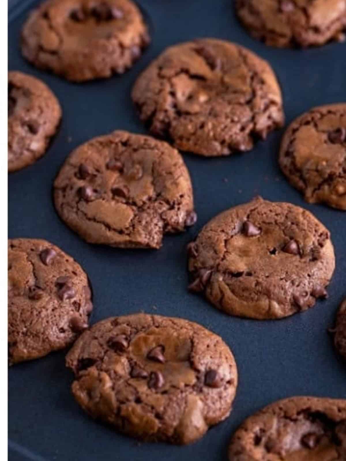 Baked two bite brownies in a mini muffin pan topped with chocolate chips.